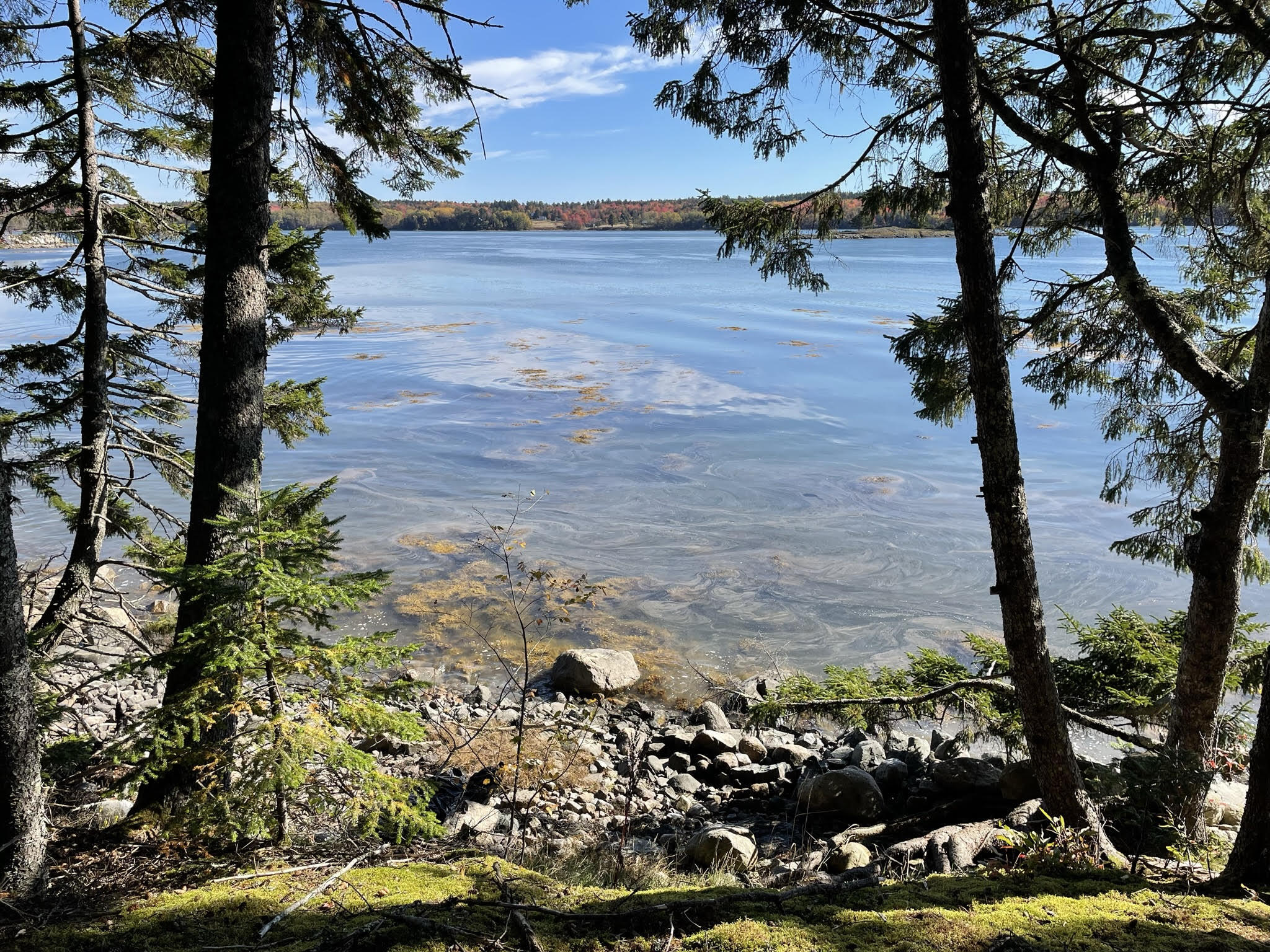 00 Gouldsboro Point Road