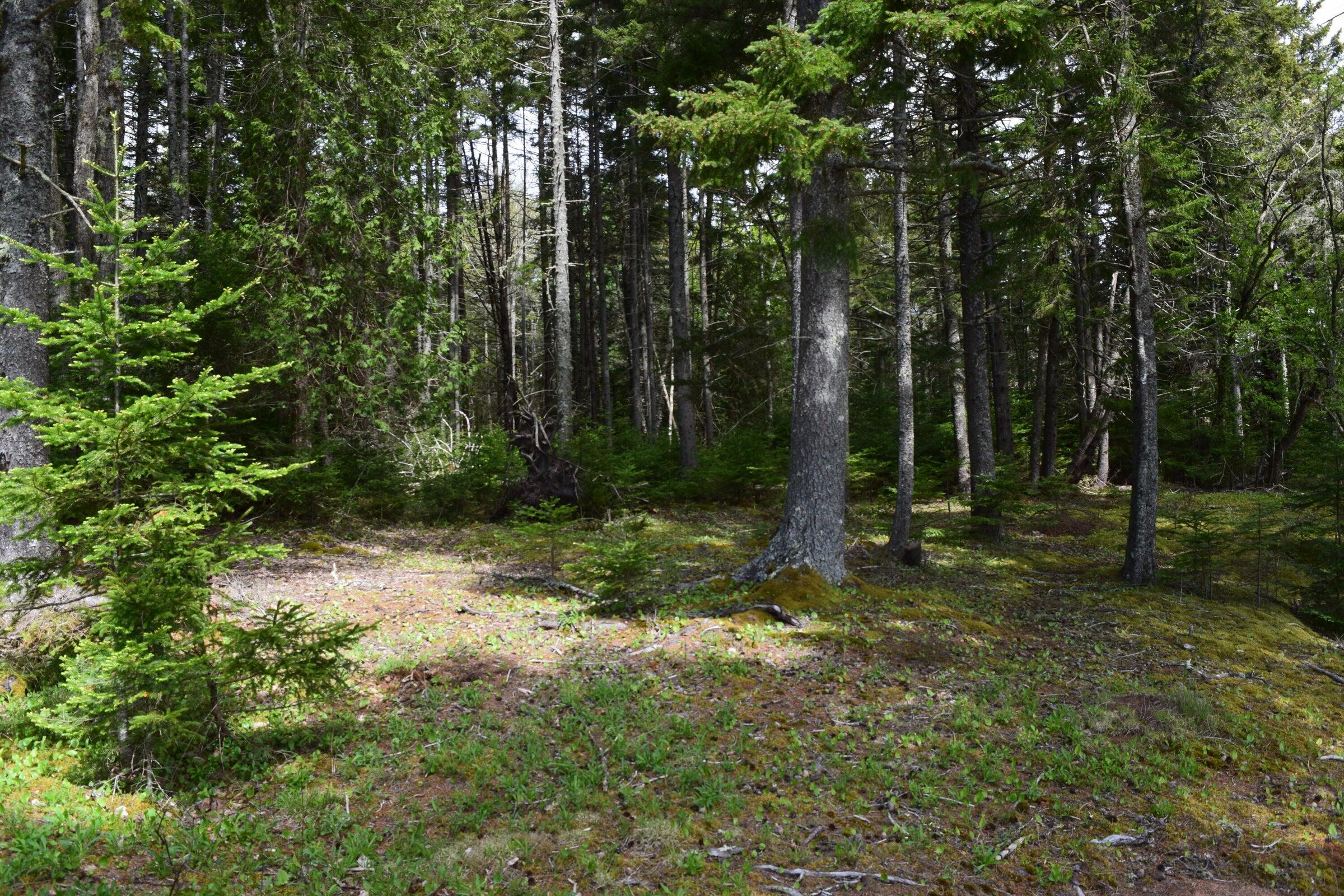 00 Gouldsboro Point Road