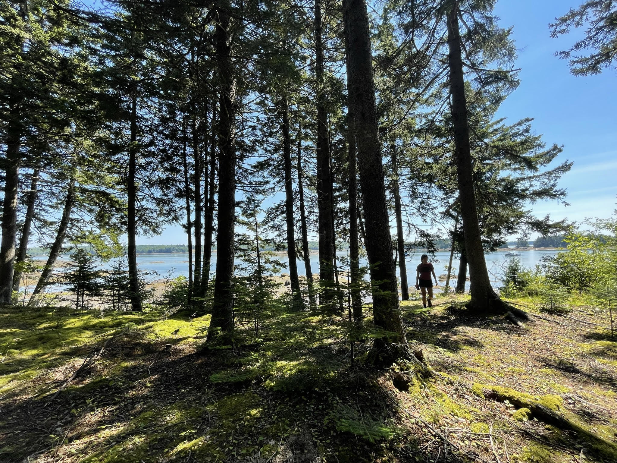 00 Gouldsboro Point Road