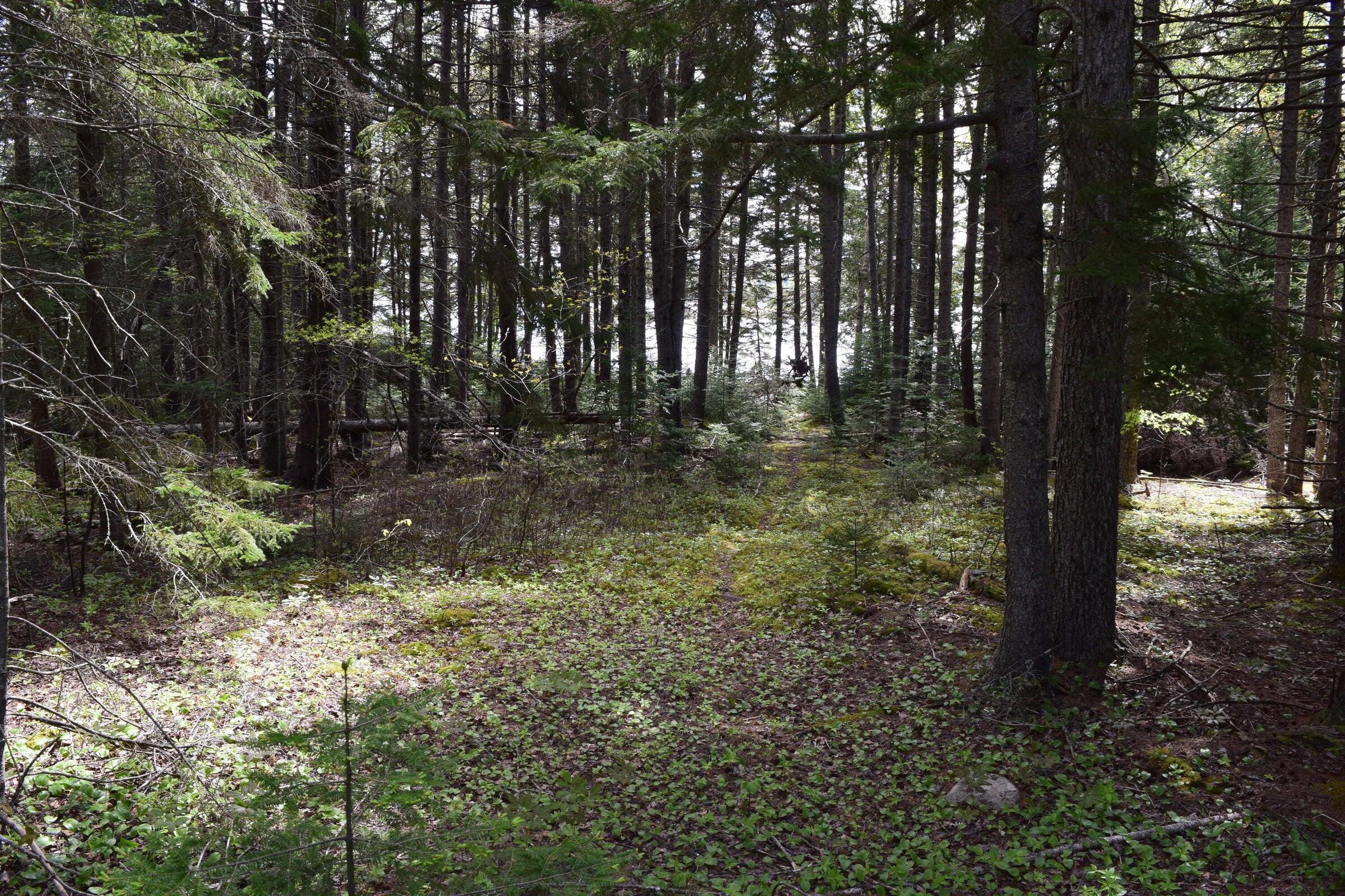 00 Gouldsboro Point Road