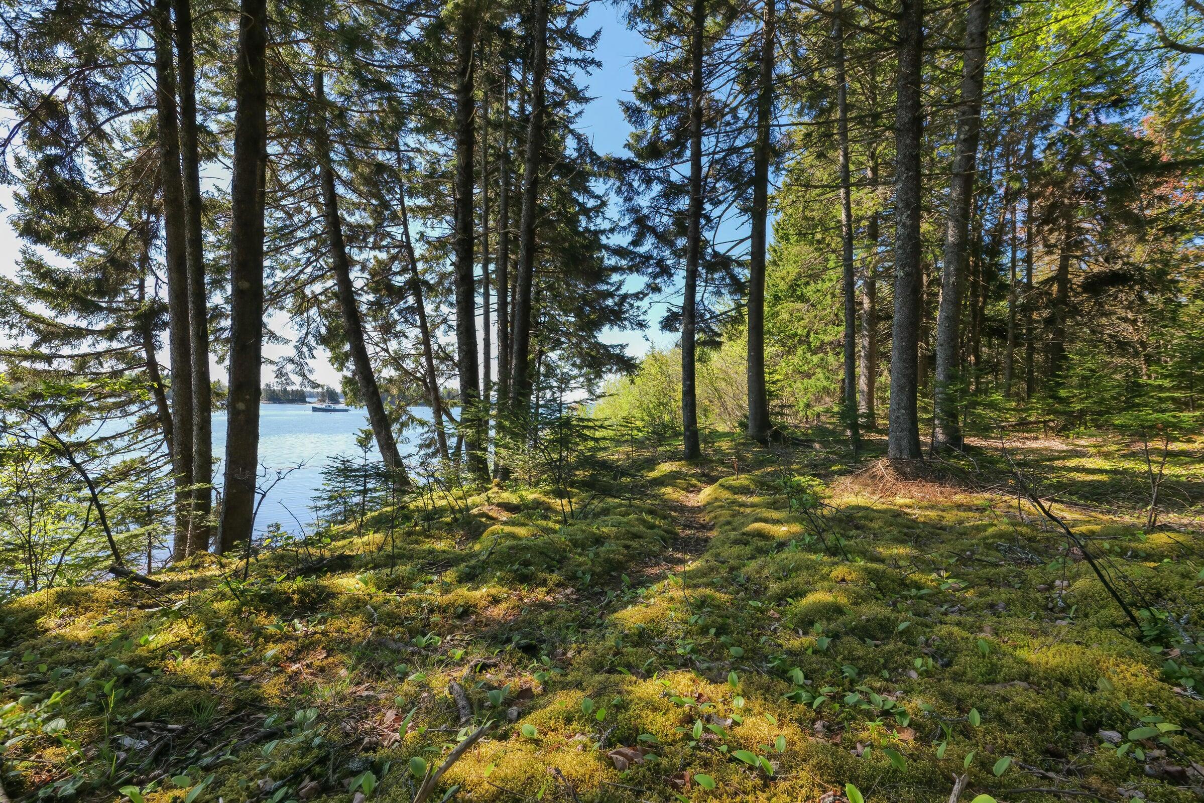 00 Gouldsboro Point Road