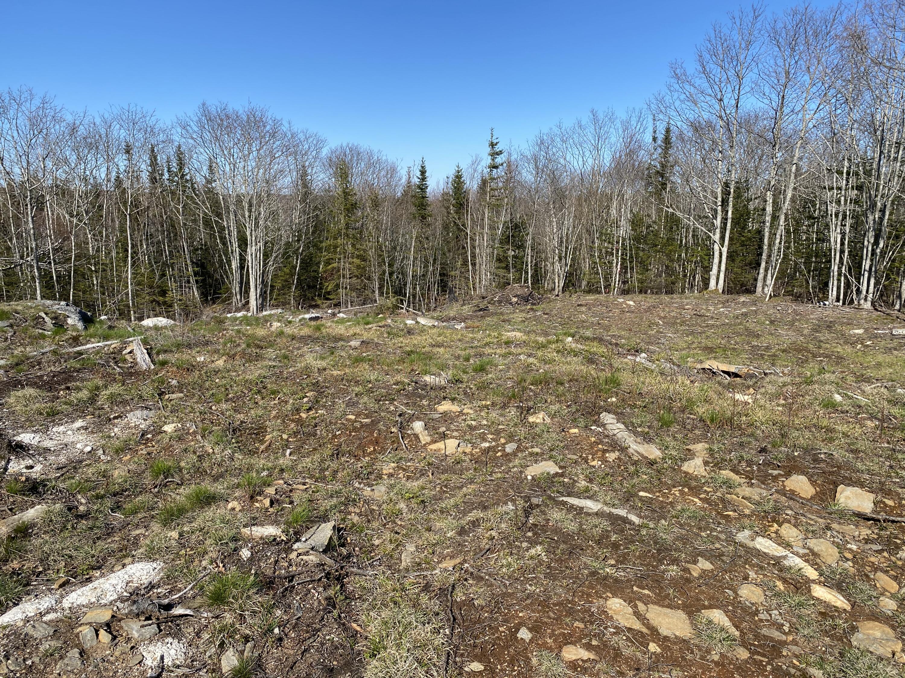 Lot 4 Shattucks Luck Lane