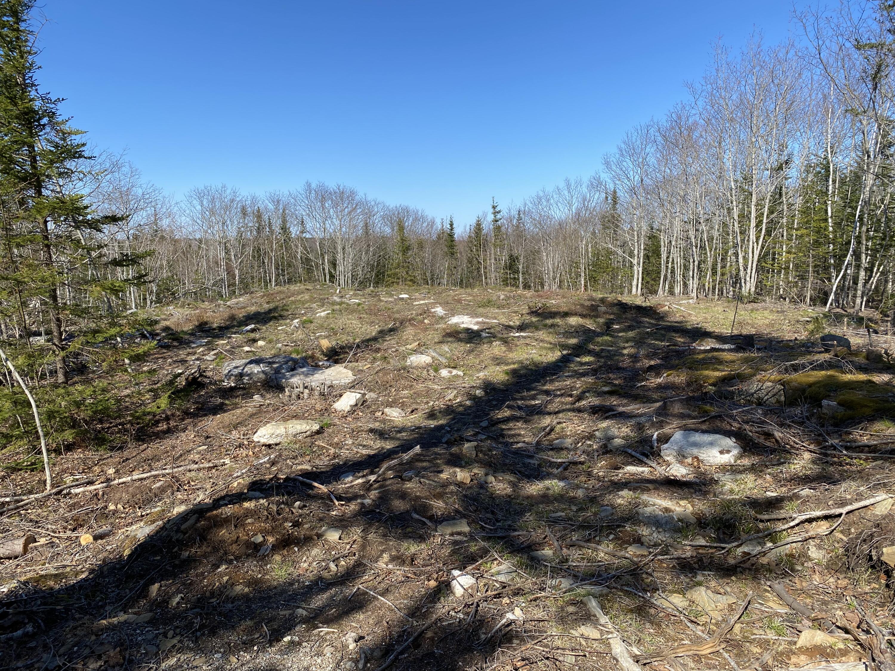 Lot 4 Shattucks Luck Lane