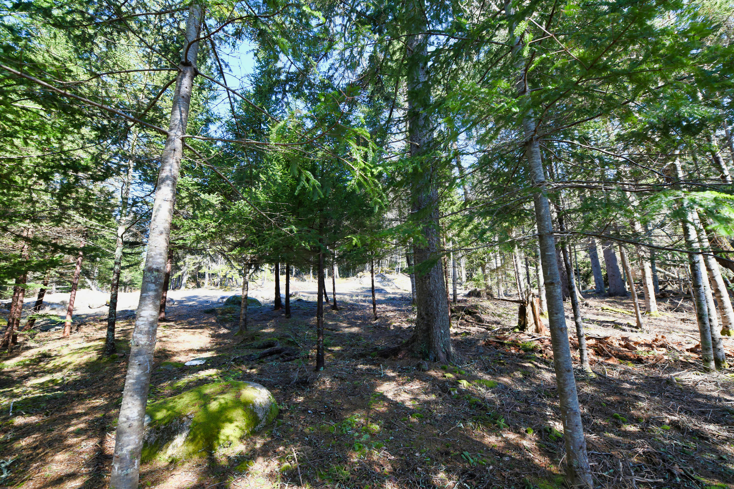 Deer Isle