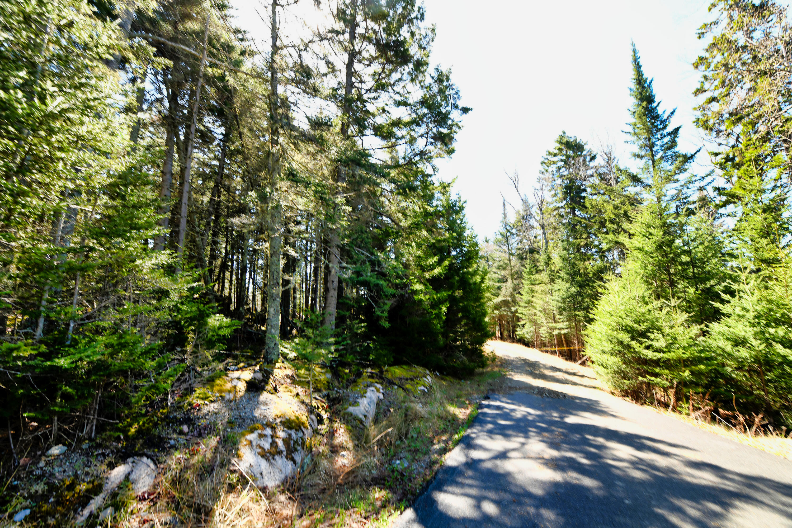 Deer Isle