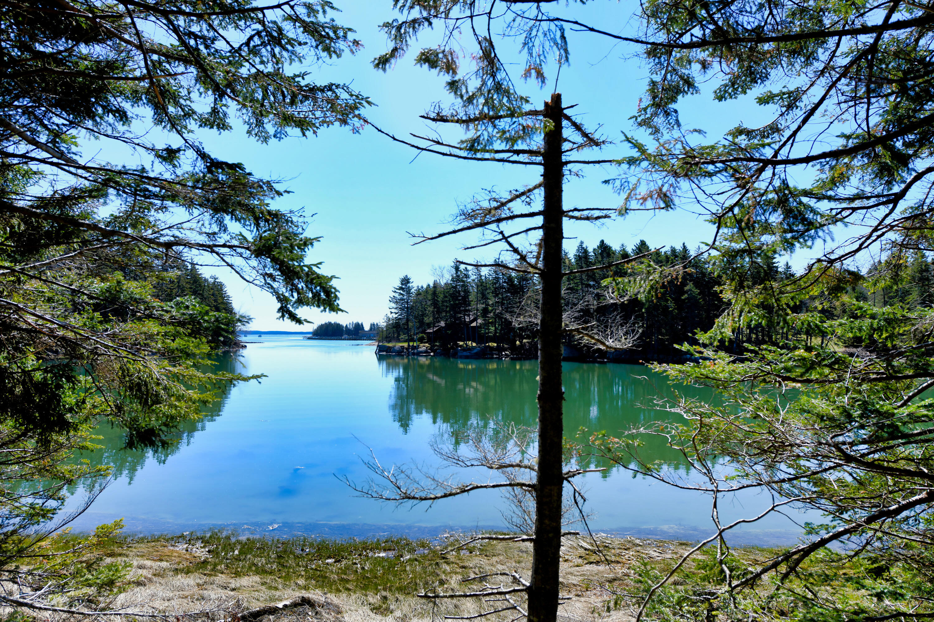 Deer Isle