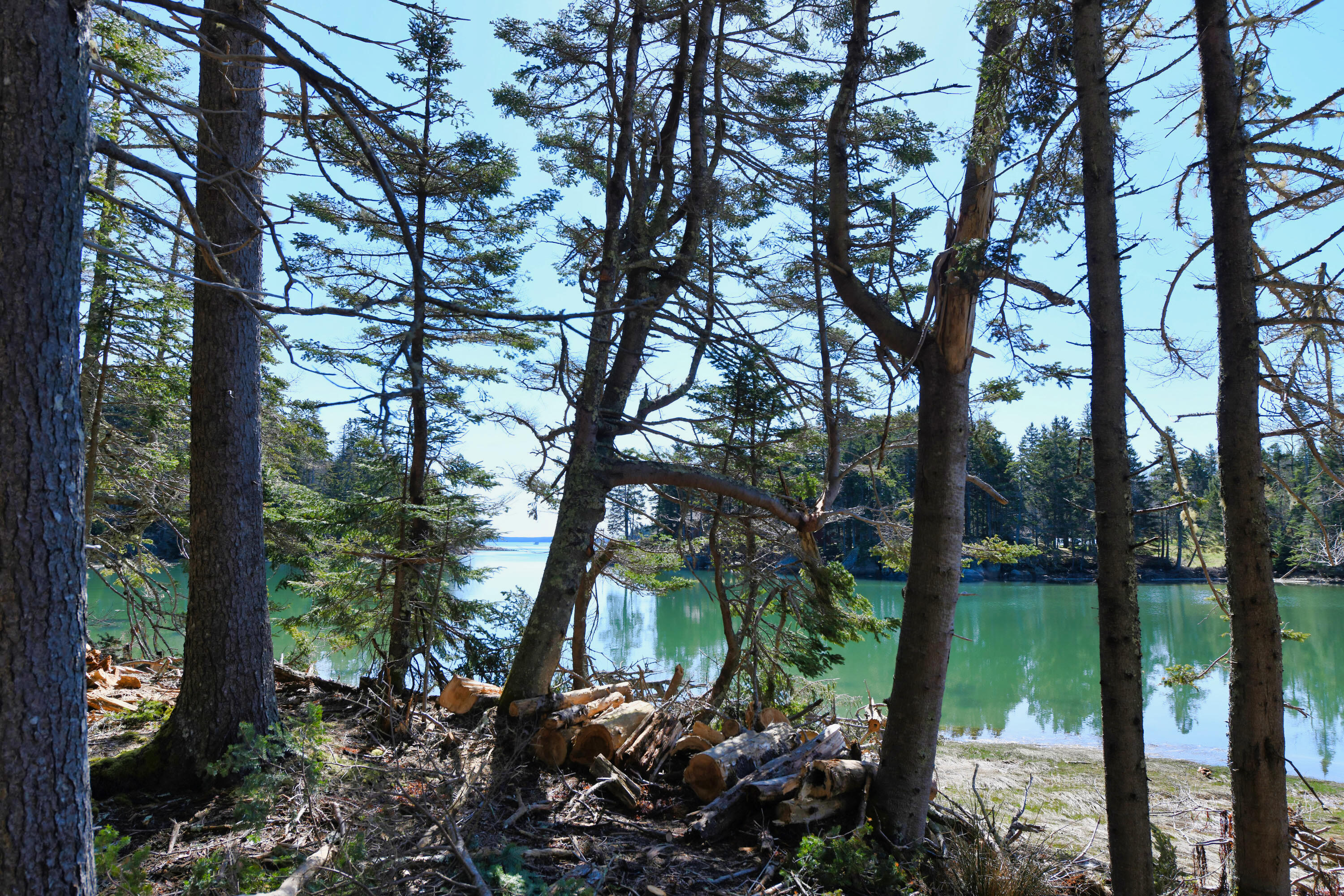 Deer Isle