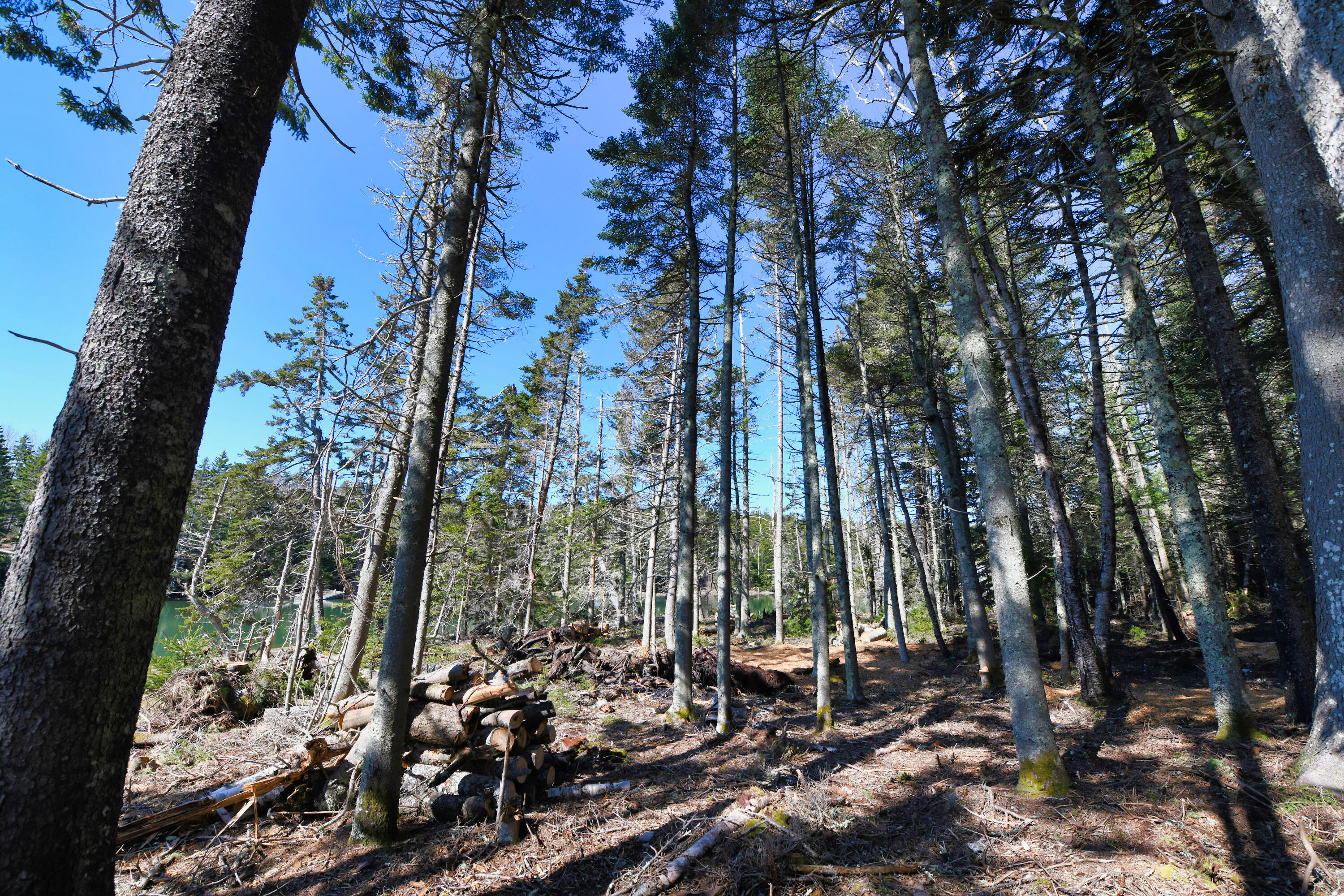 Deer Isle