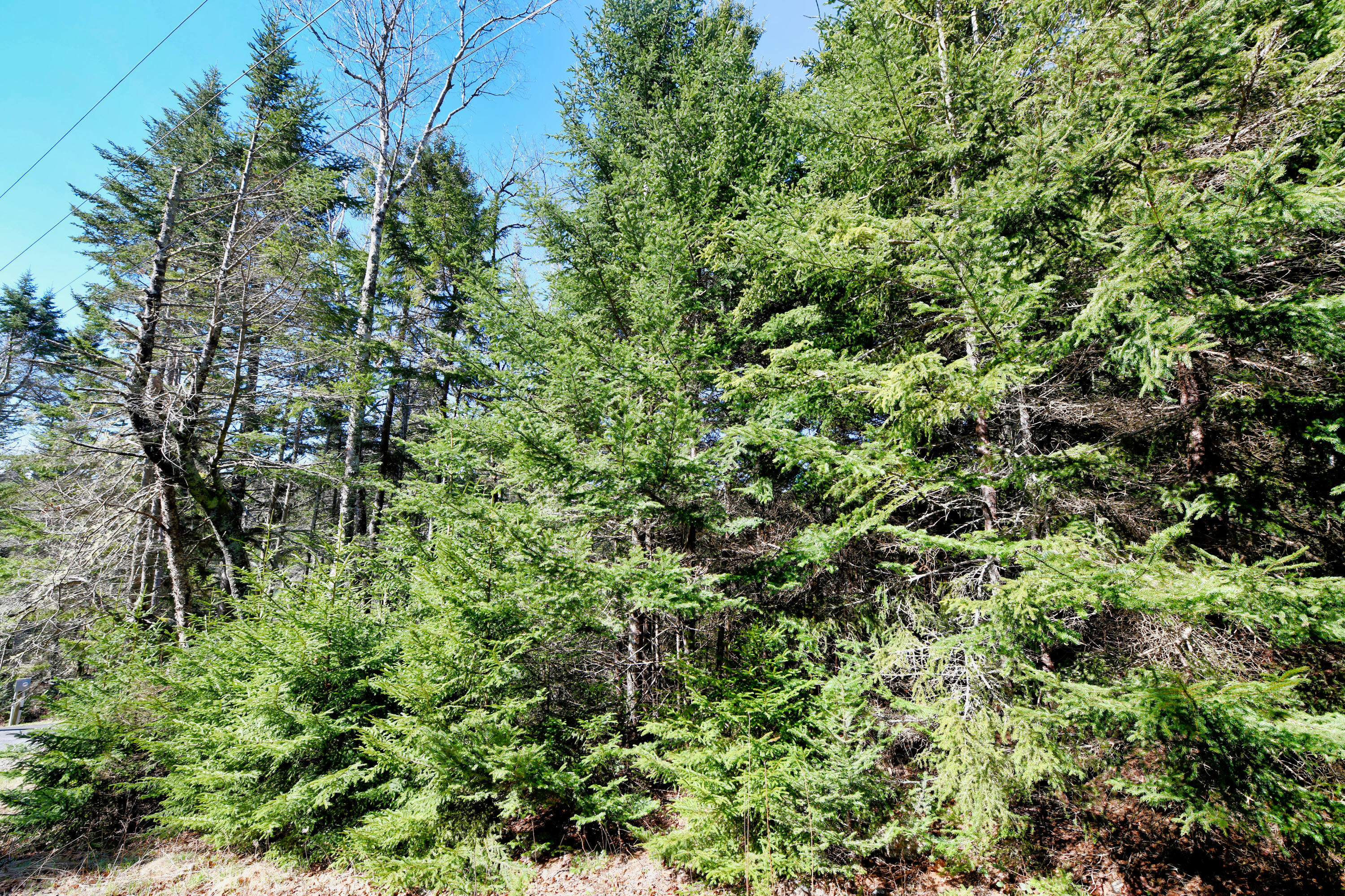 Deer Isle