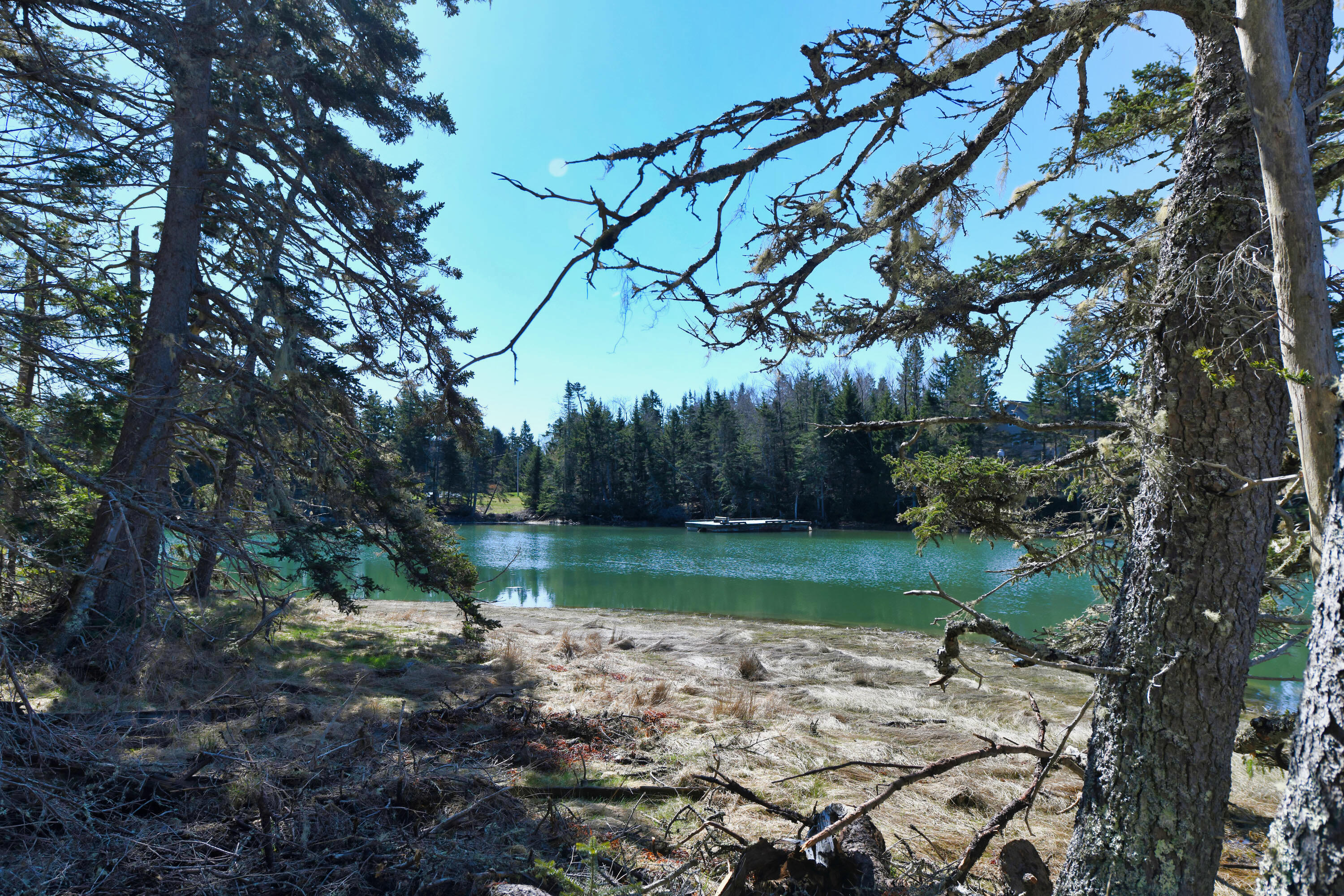 Deer Isle