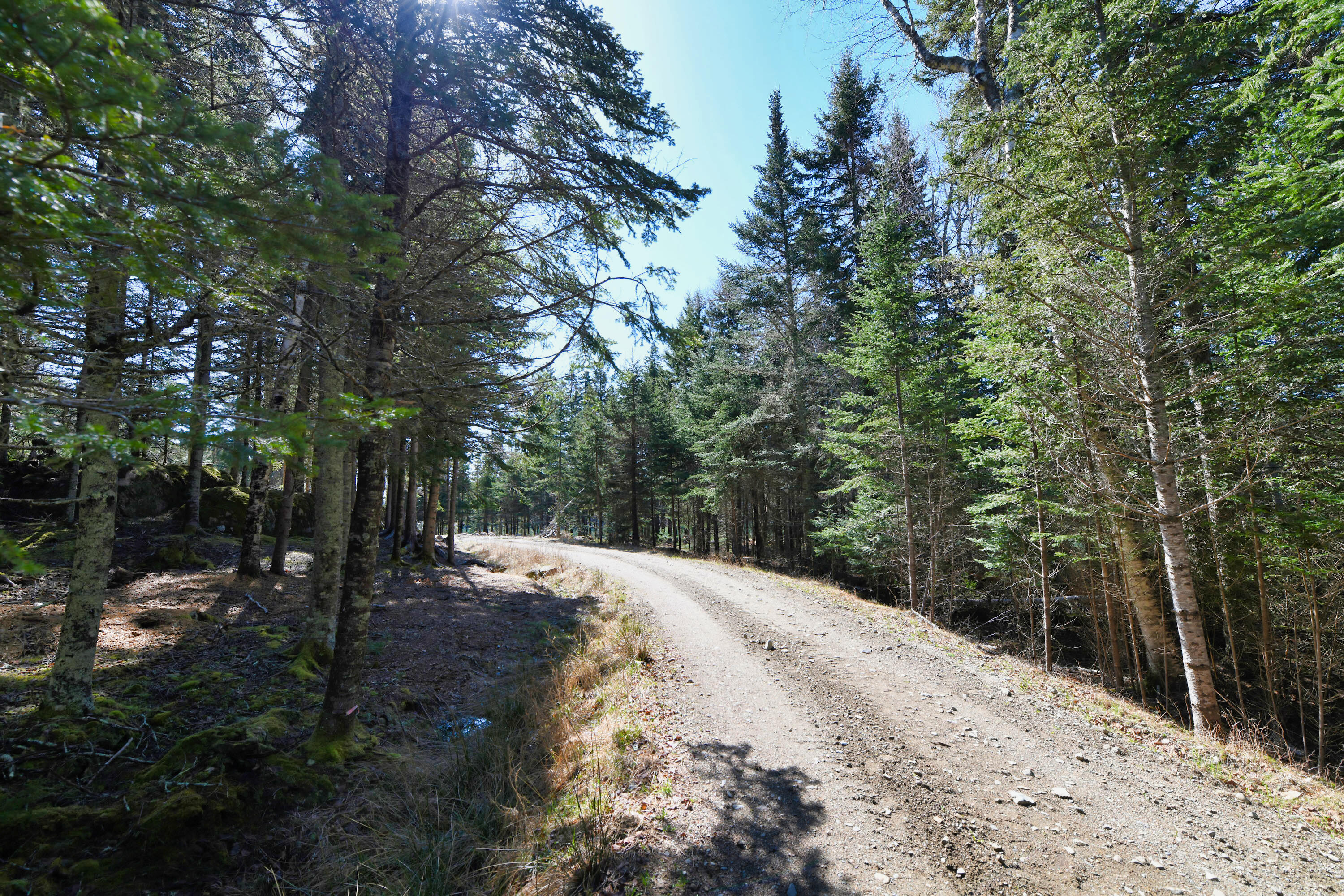 Deer Isle