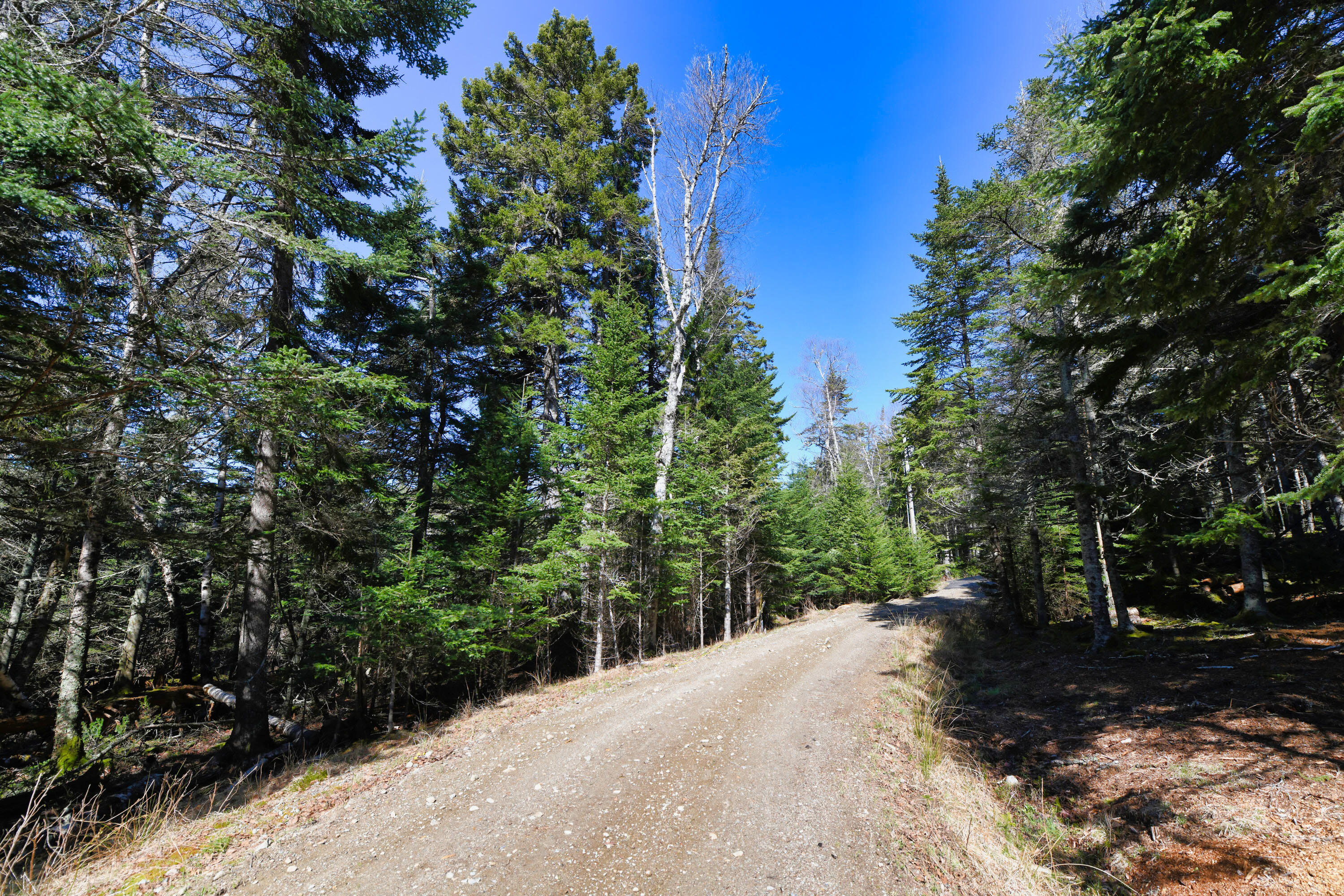 Deer Isle