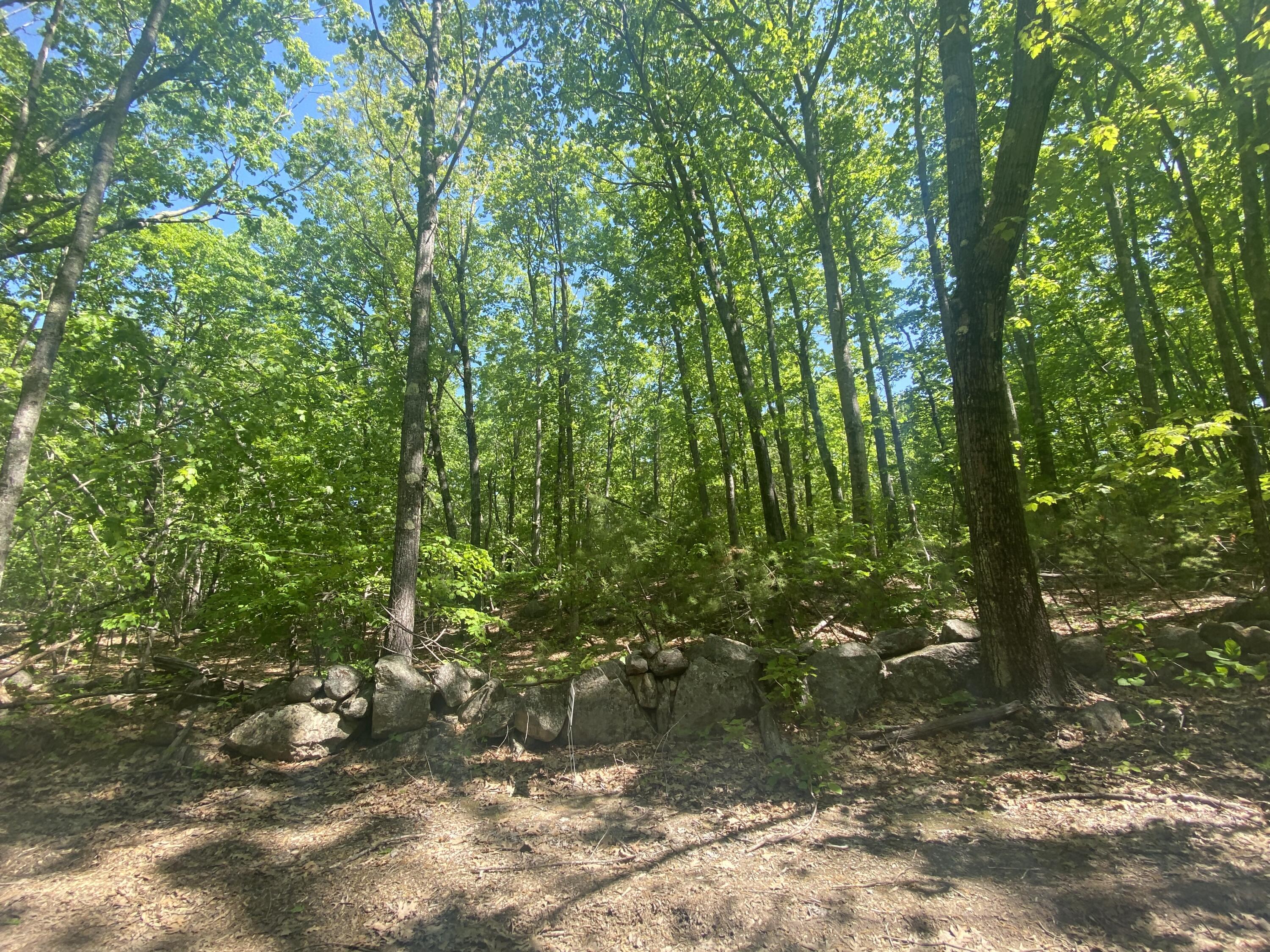 0 Carpenter Road