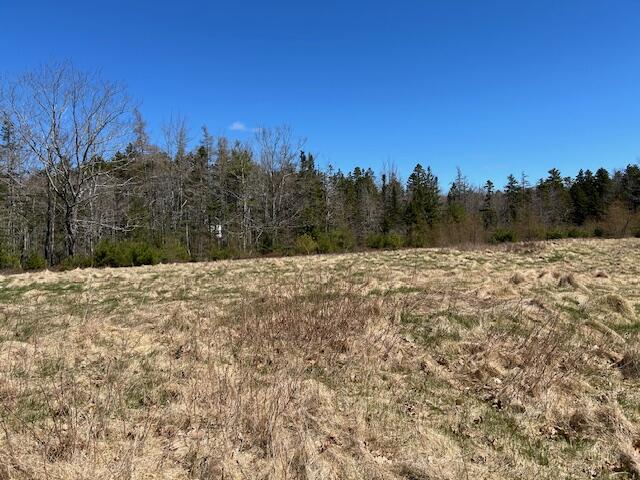 1226 Morgan Bay Road