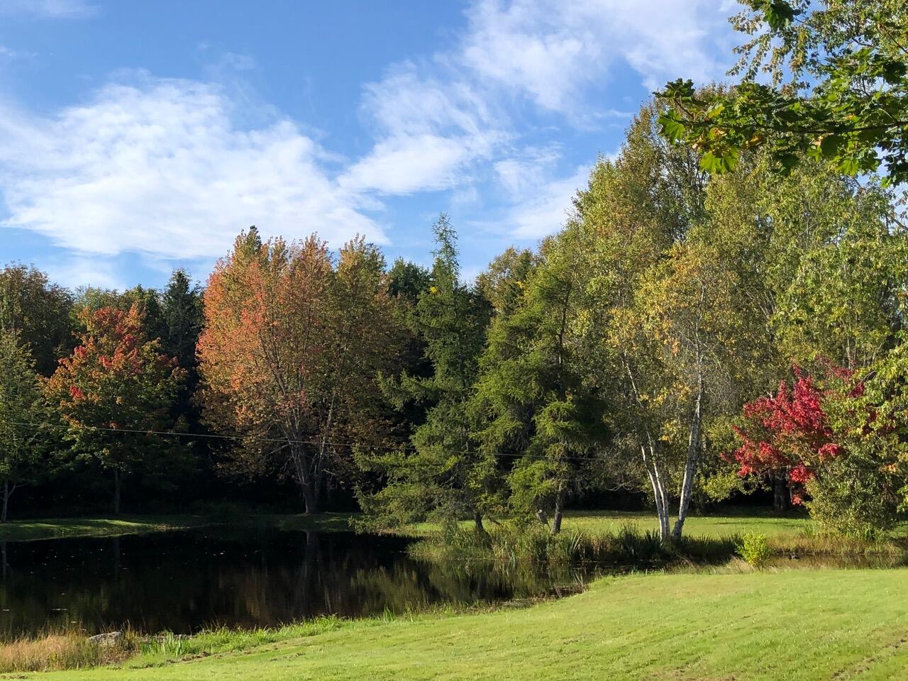 259 Carter Point Road