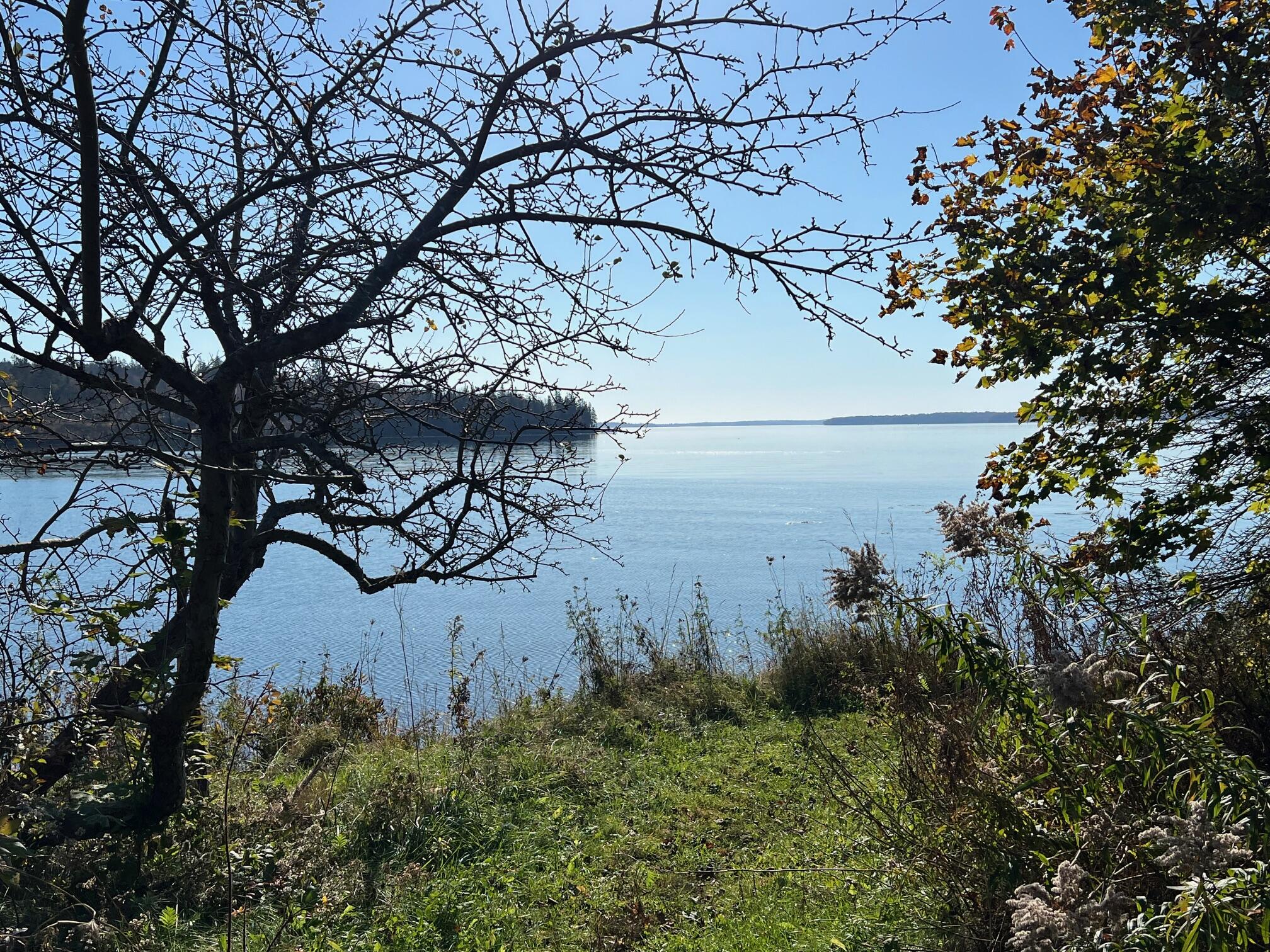 259 Carter Point Road