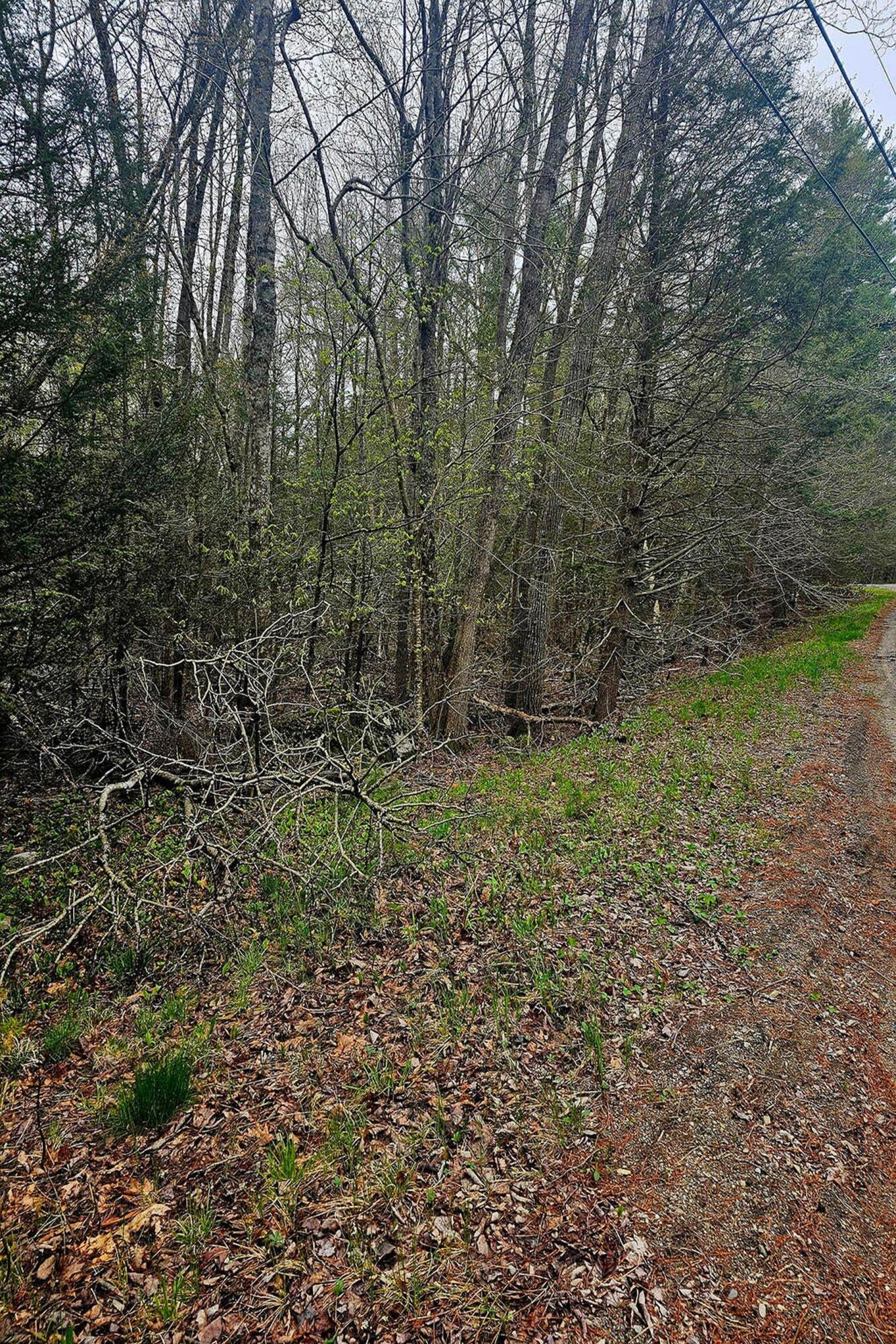Lot 20 M-6 Biscay Road