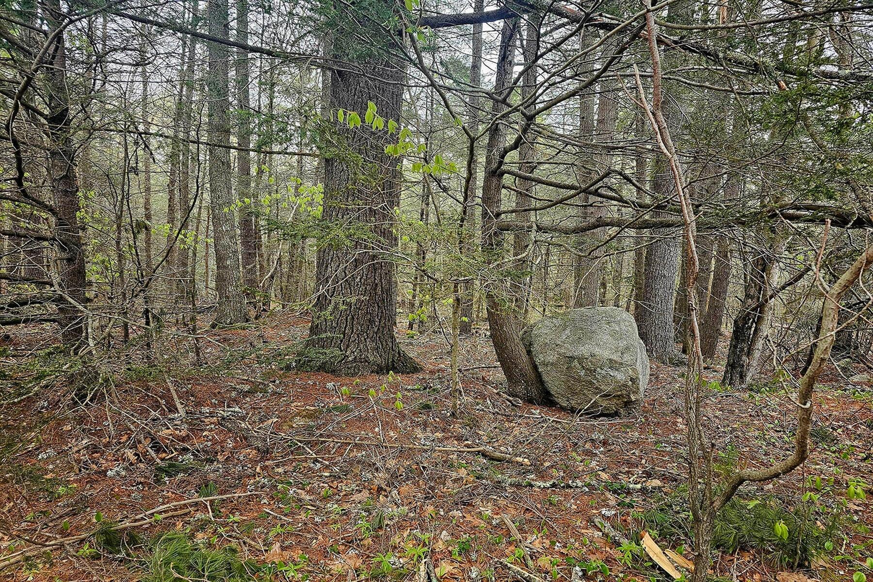 Lot 20 M-6 Biscay Road