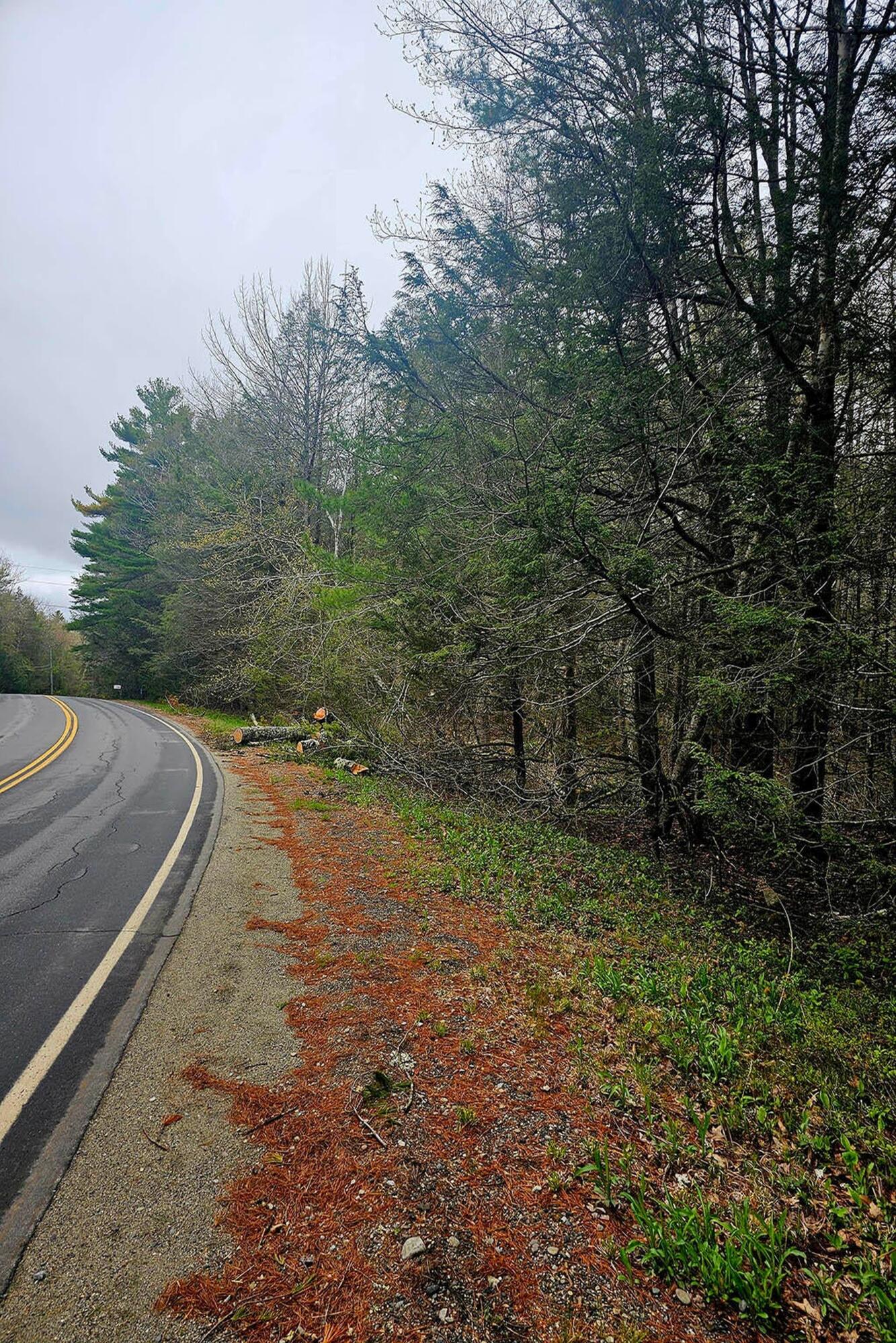 Lot 20 M-6 Biscay Road