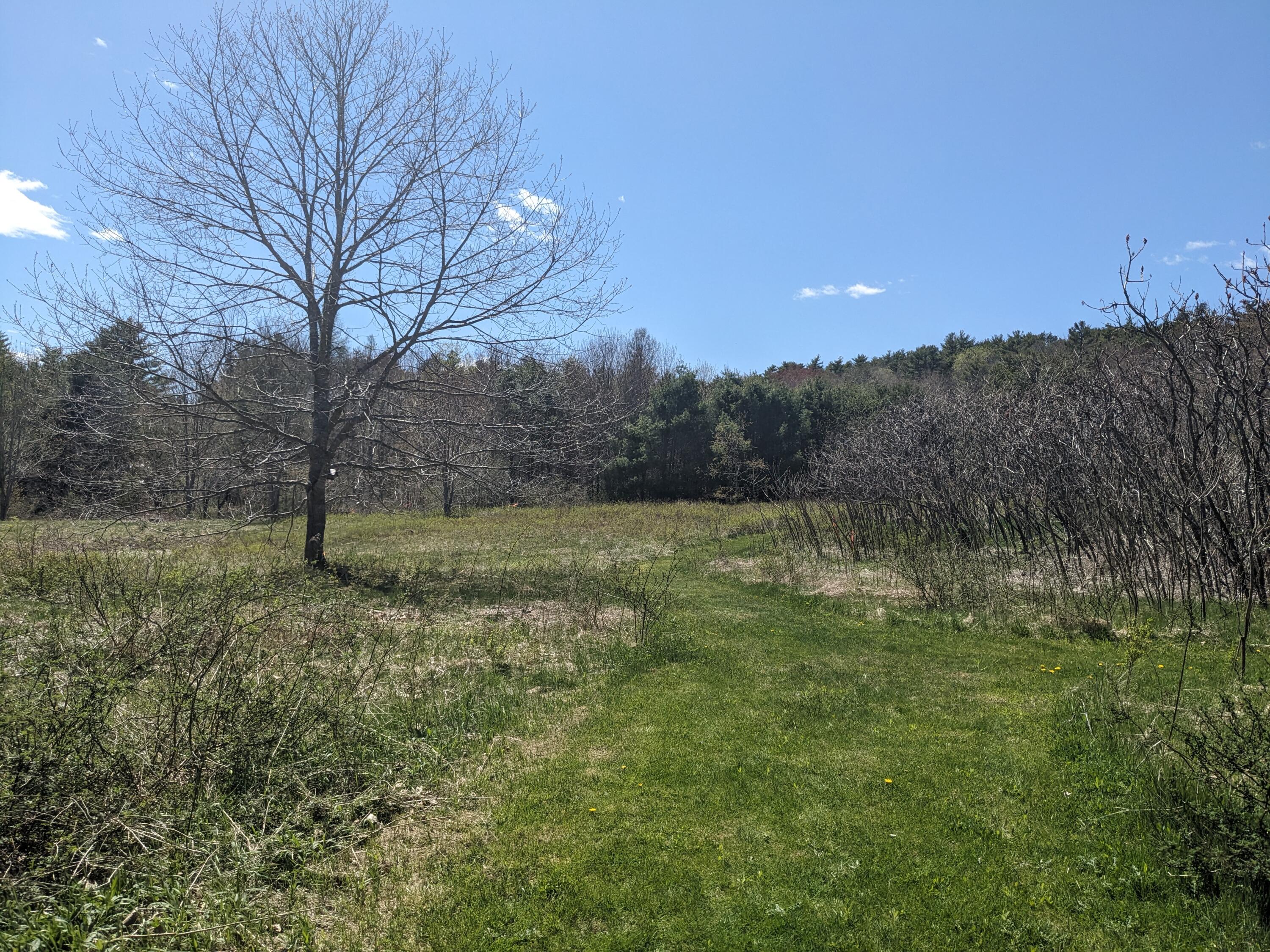 65M Perkins Point Road