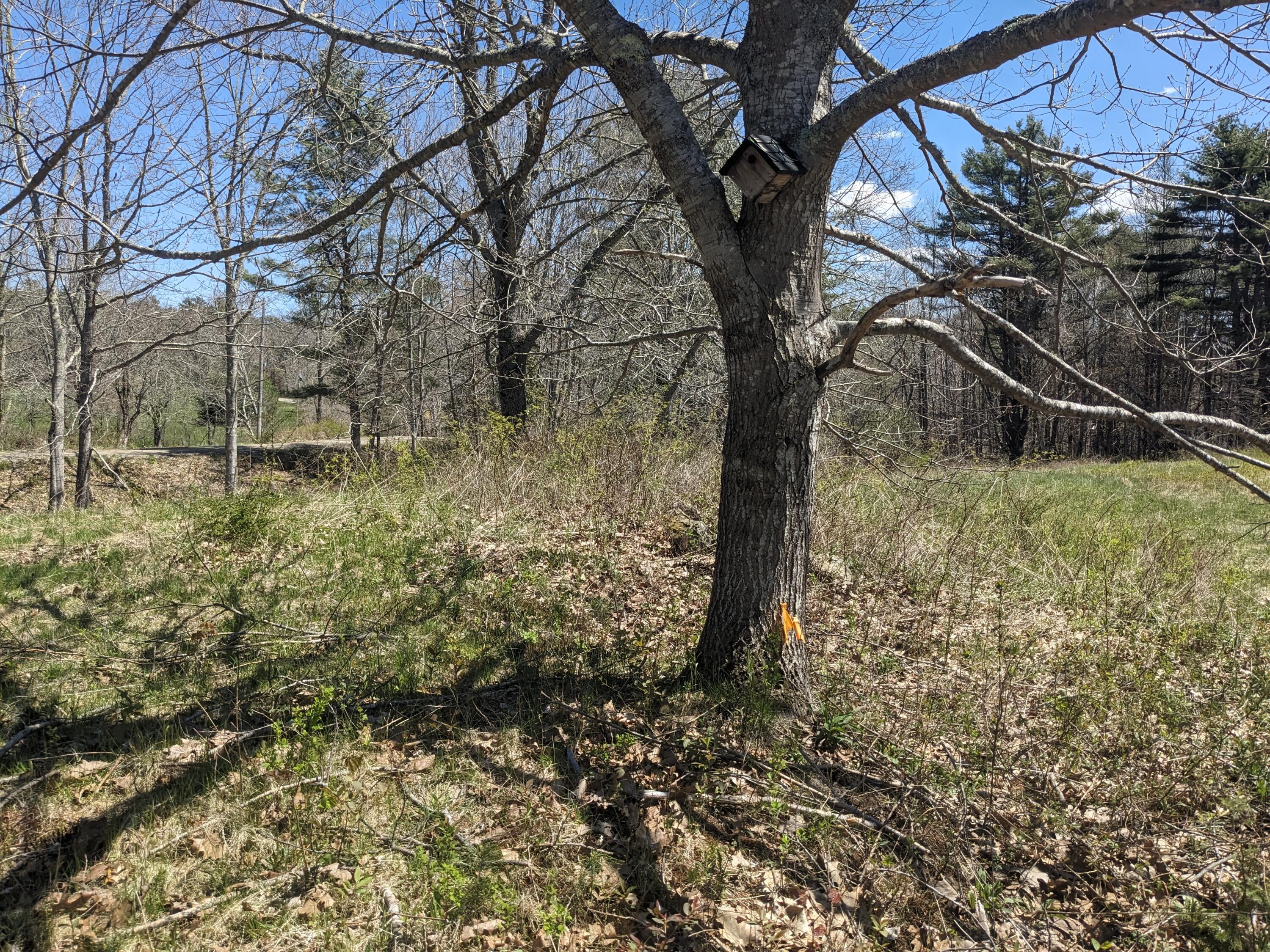 65M Perkins Point Road