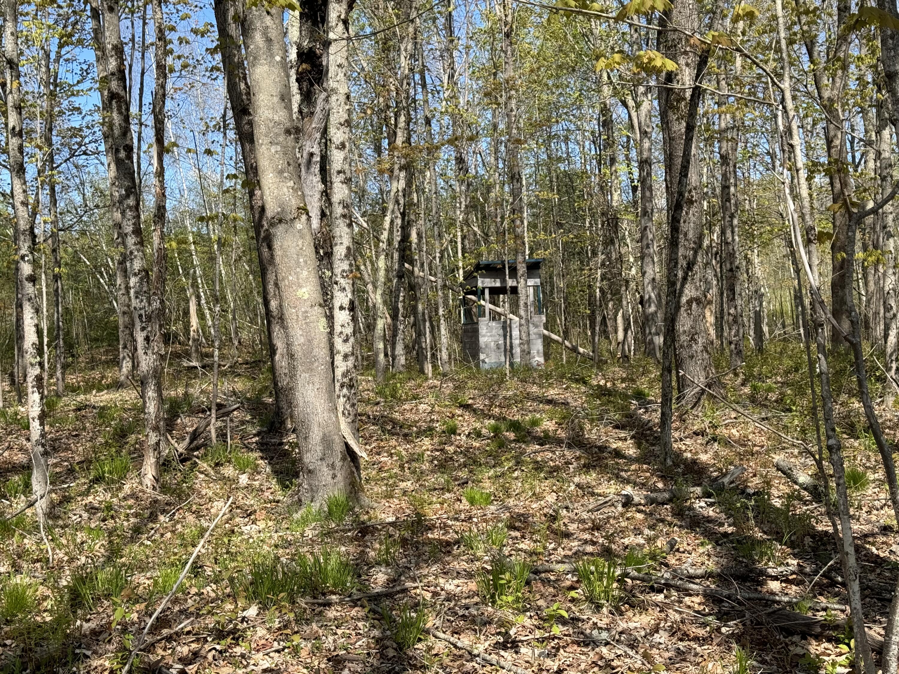 53 Bonin Road
