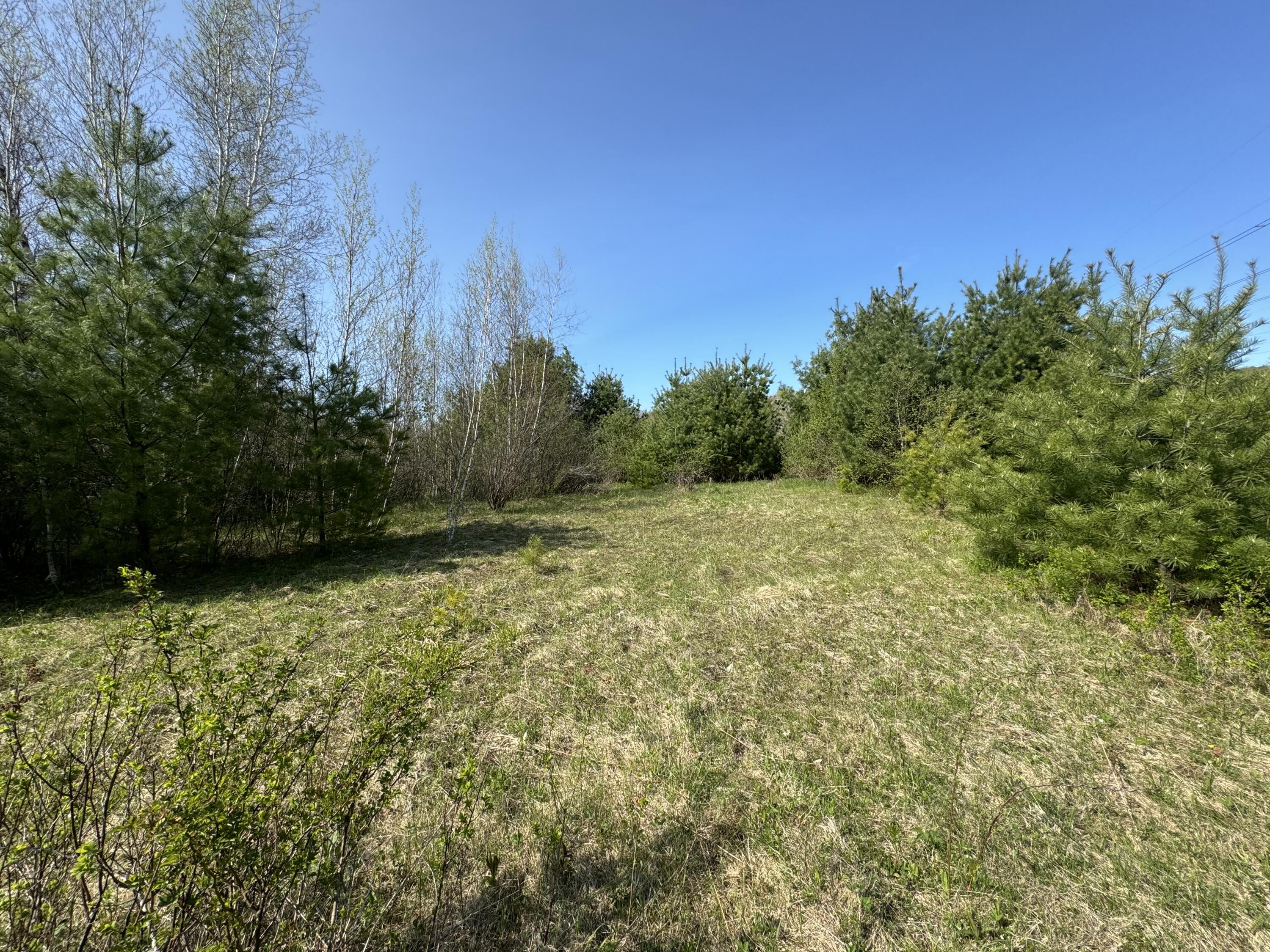 53 Bonin Road