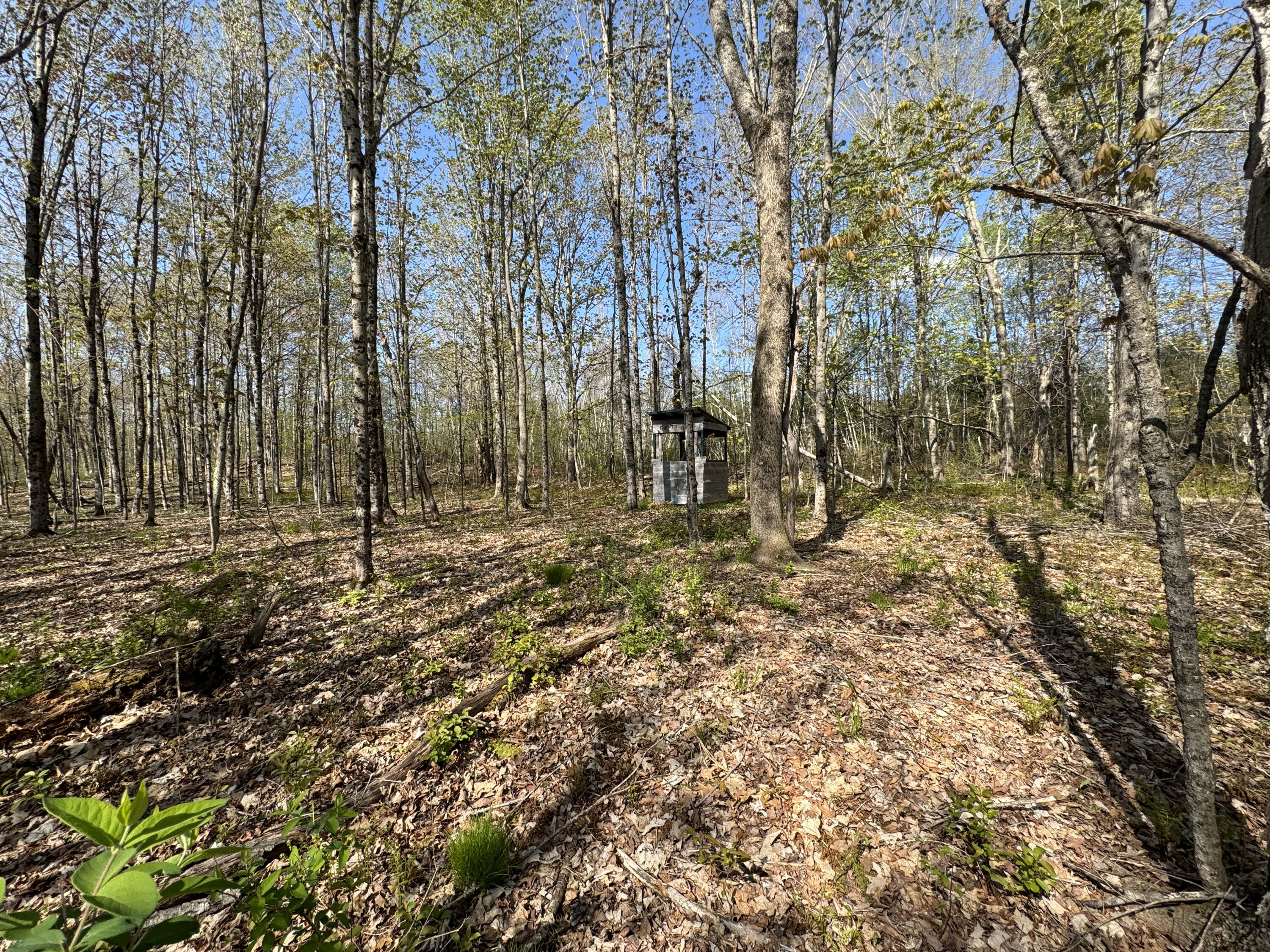 53 Bonin Road