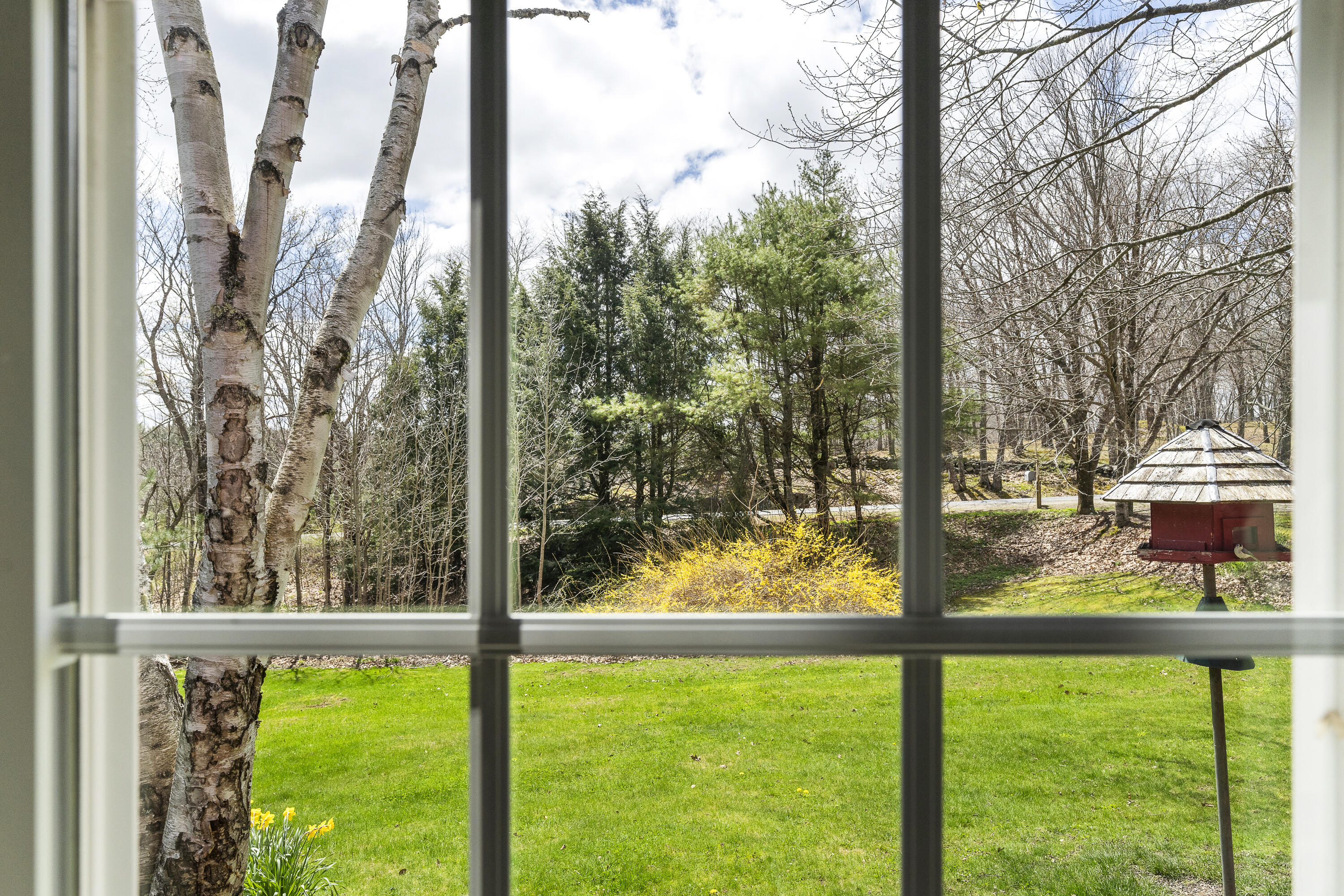505 Willow Lane