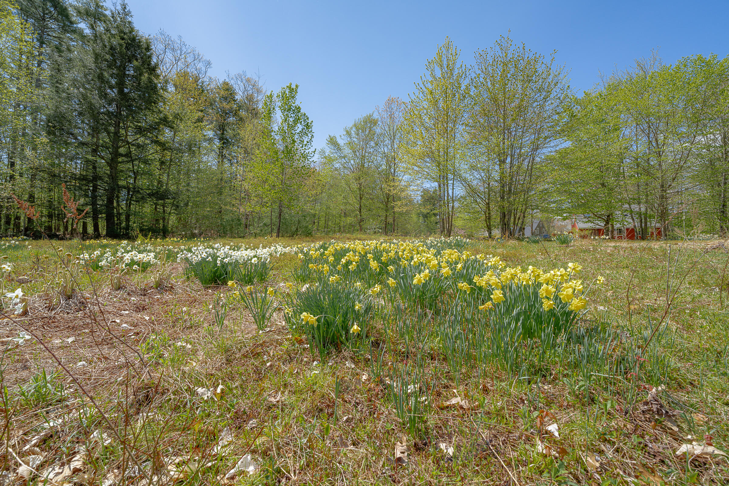 37 Long Hill Road
