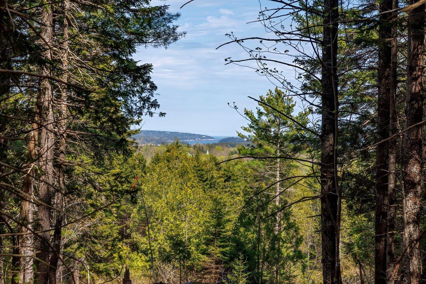 69 Freeman Ridge Road