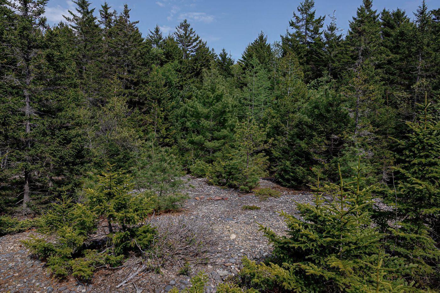 69 Freeman Ridge Road