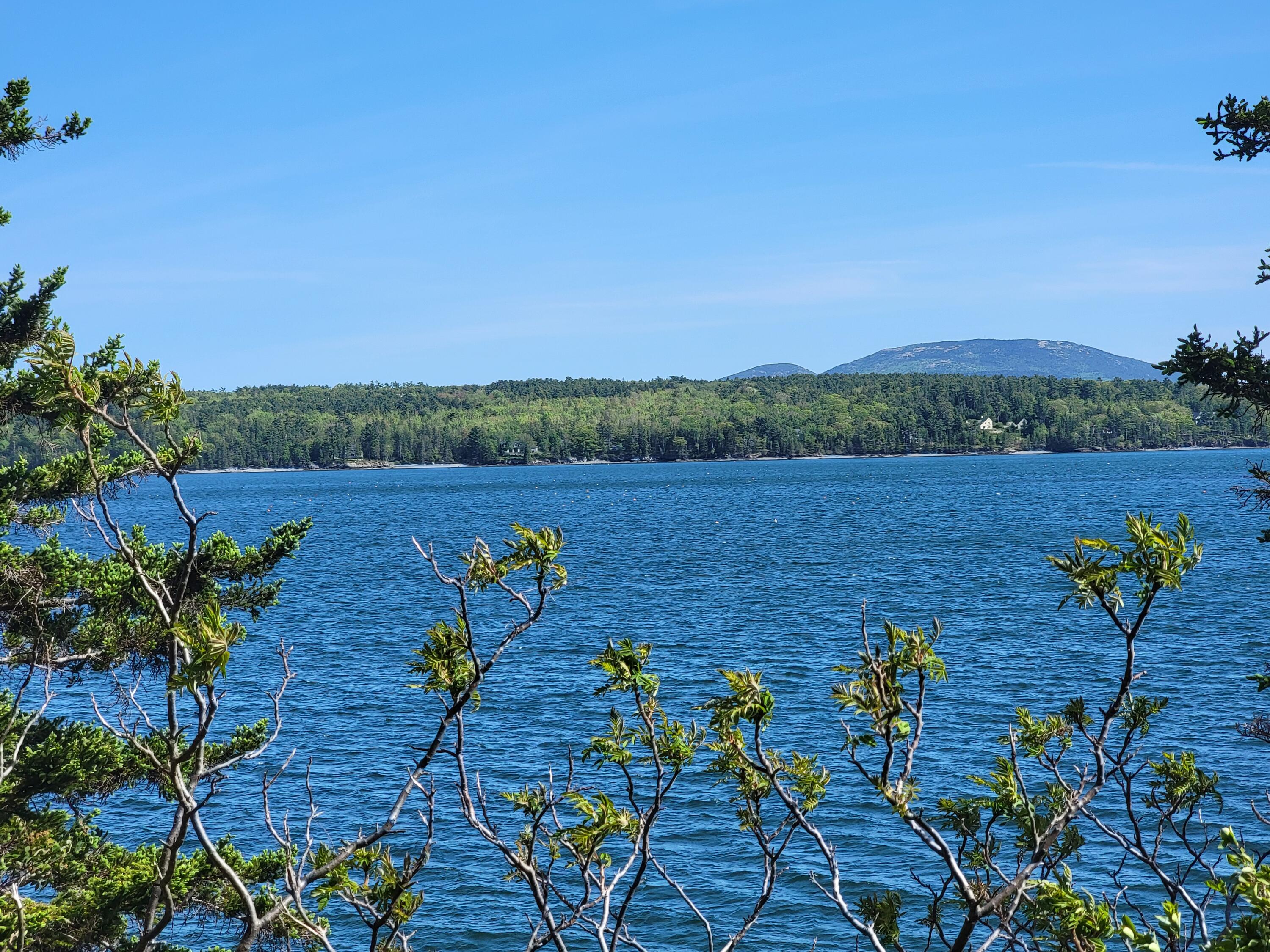 TBD Lamoine Beach Road