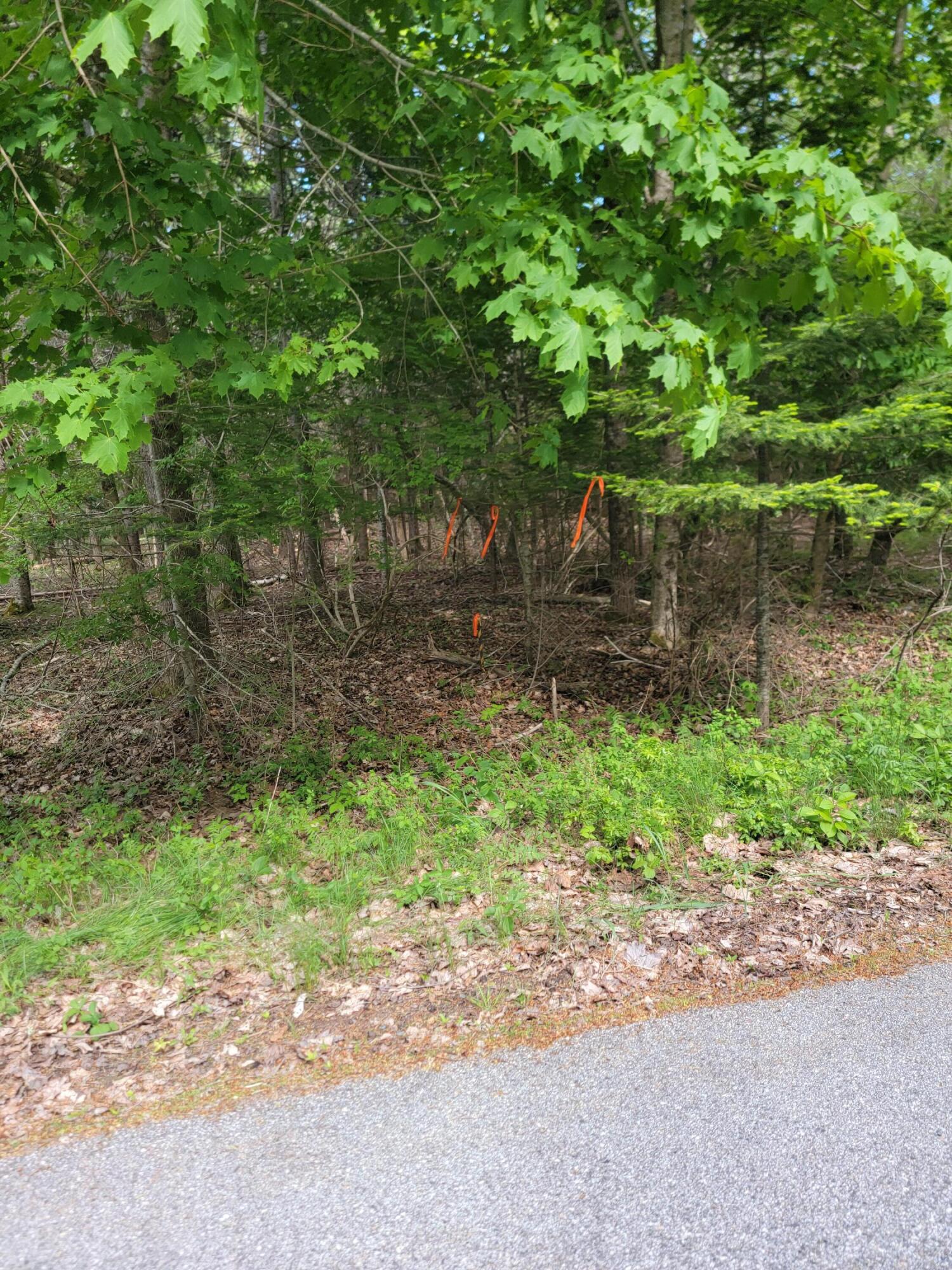 TBD Lamoine Beach Road