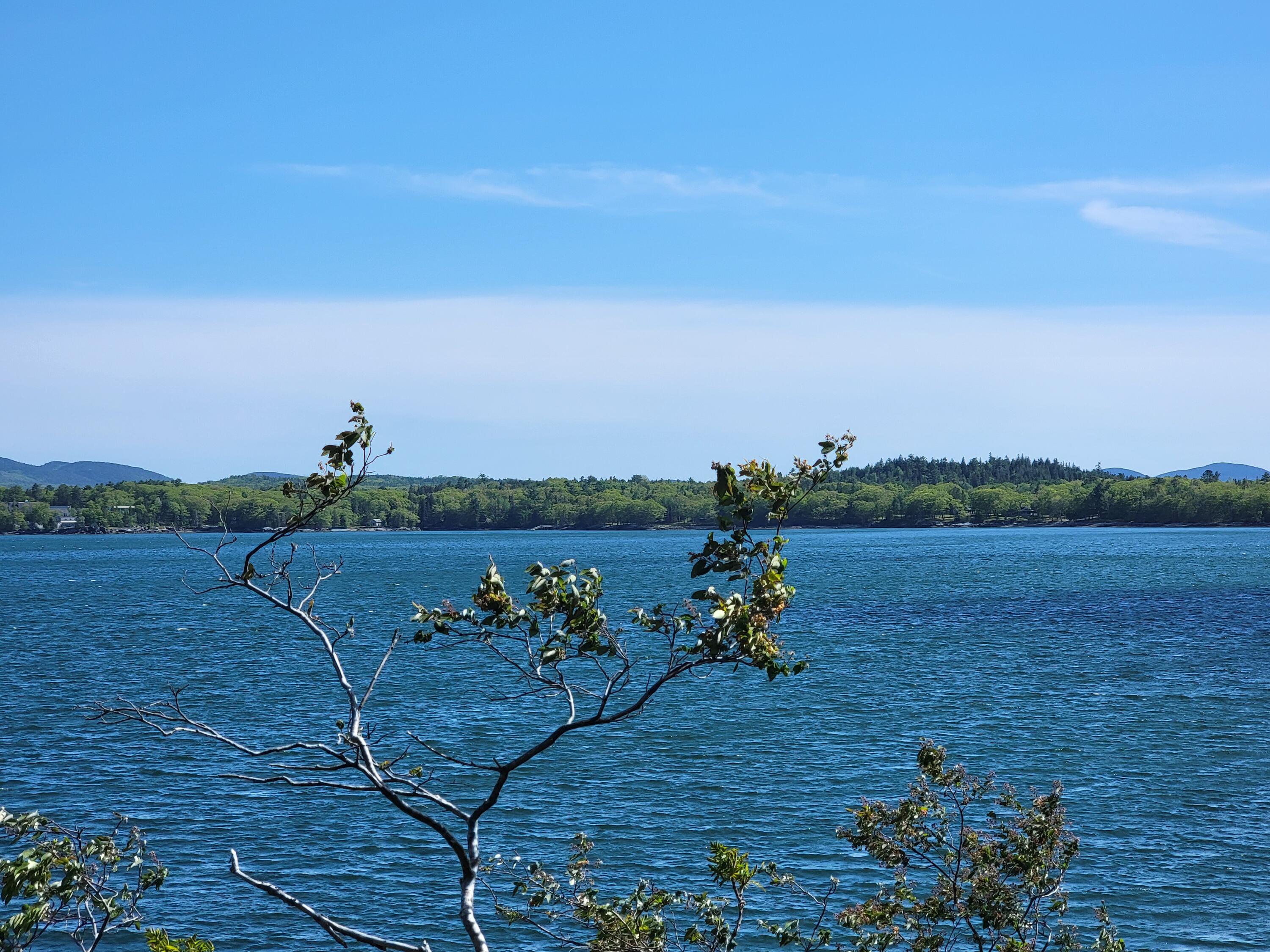 TBD Lamoine Beach Road