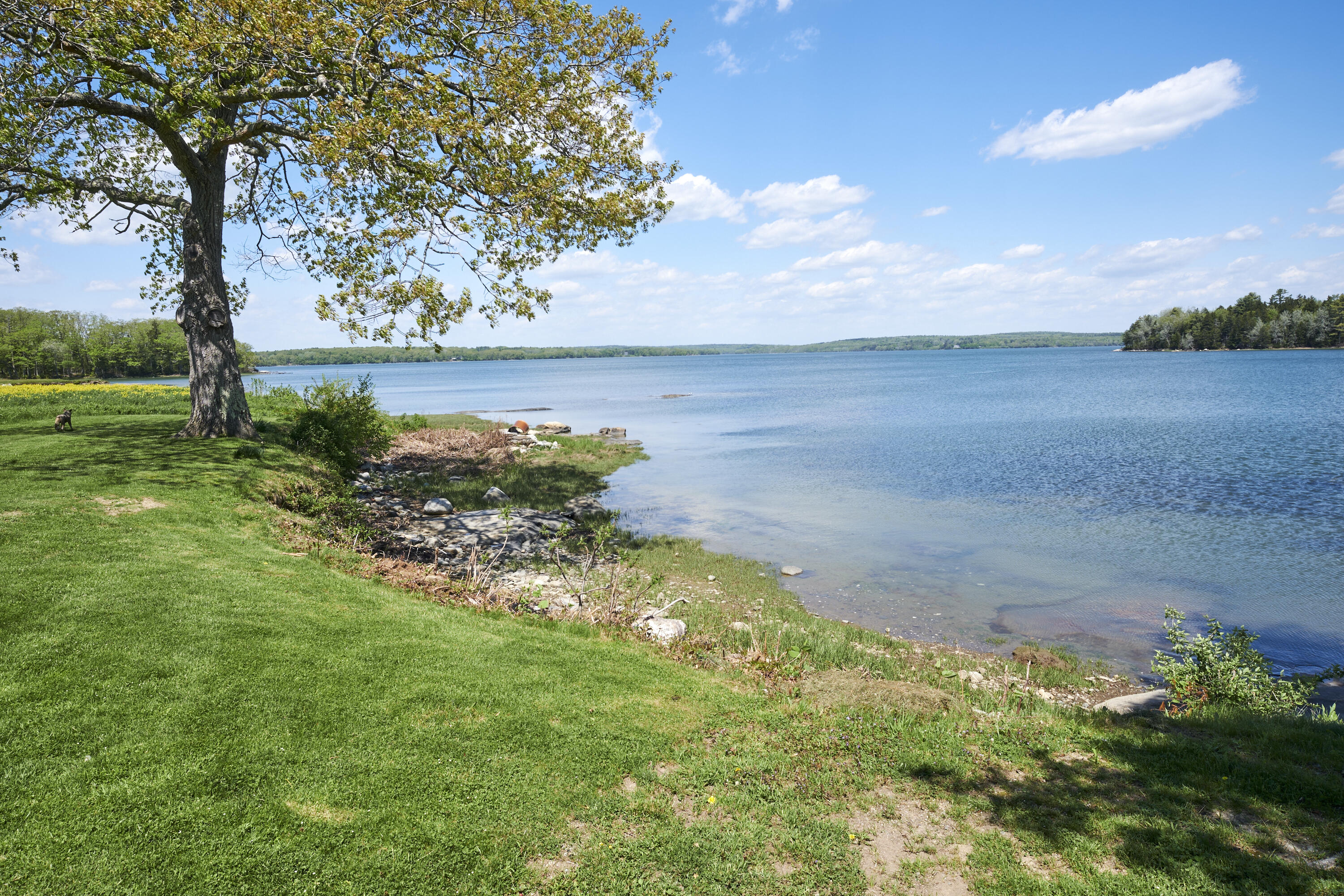 601 Back Cove