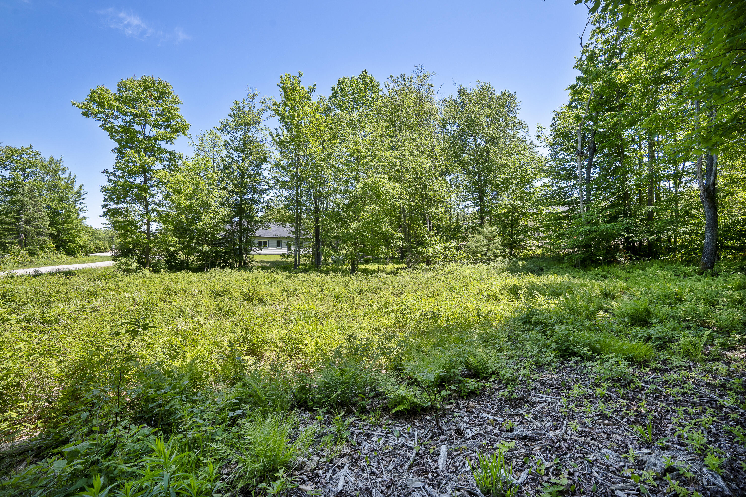 Lot 15 Little Bird Lane