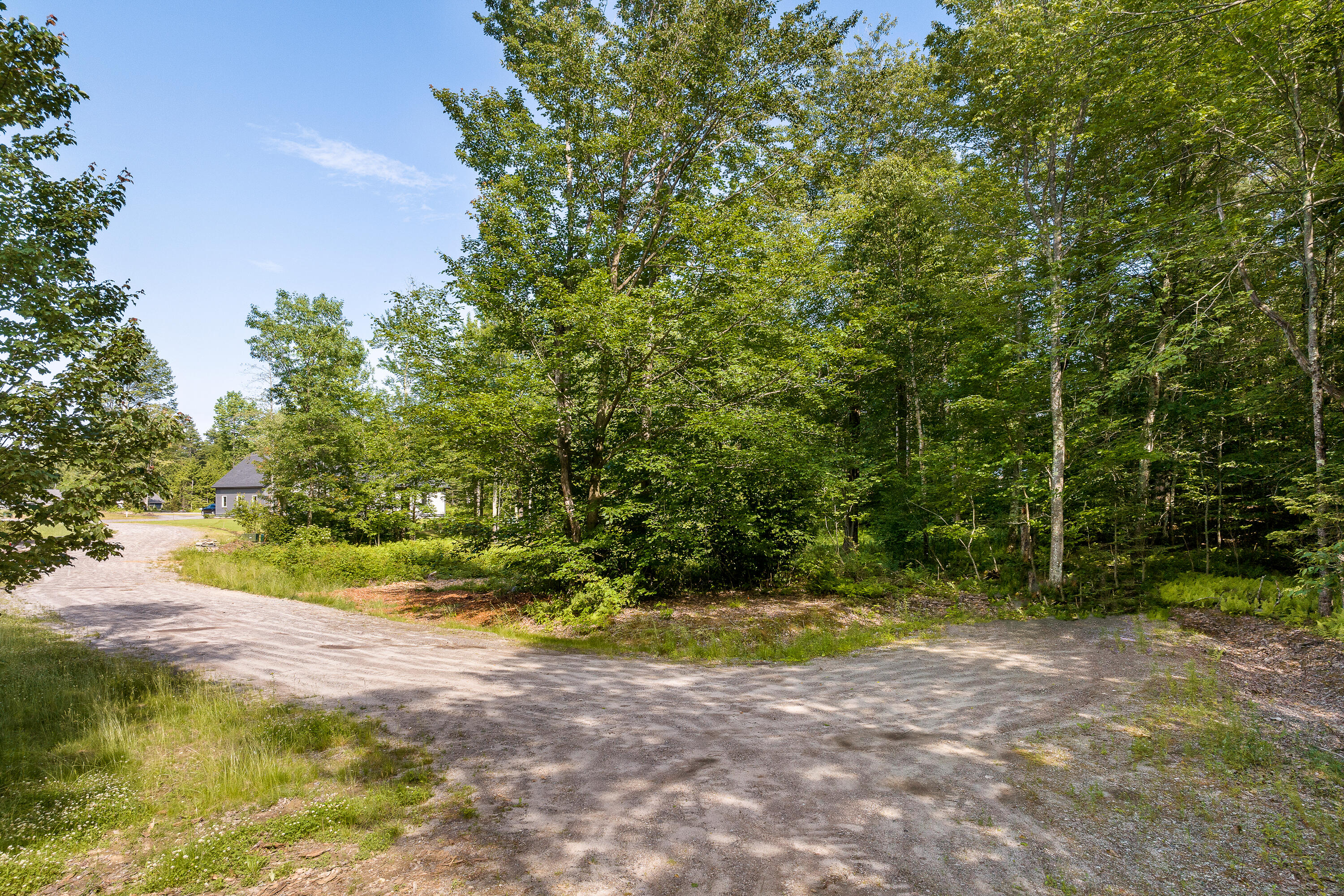 Lot 15 Little Bird Lane