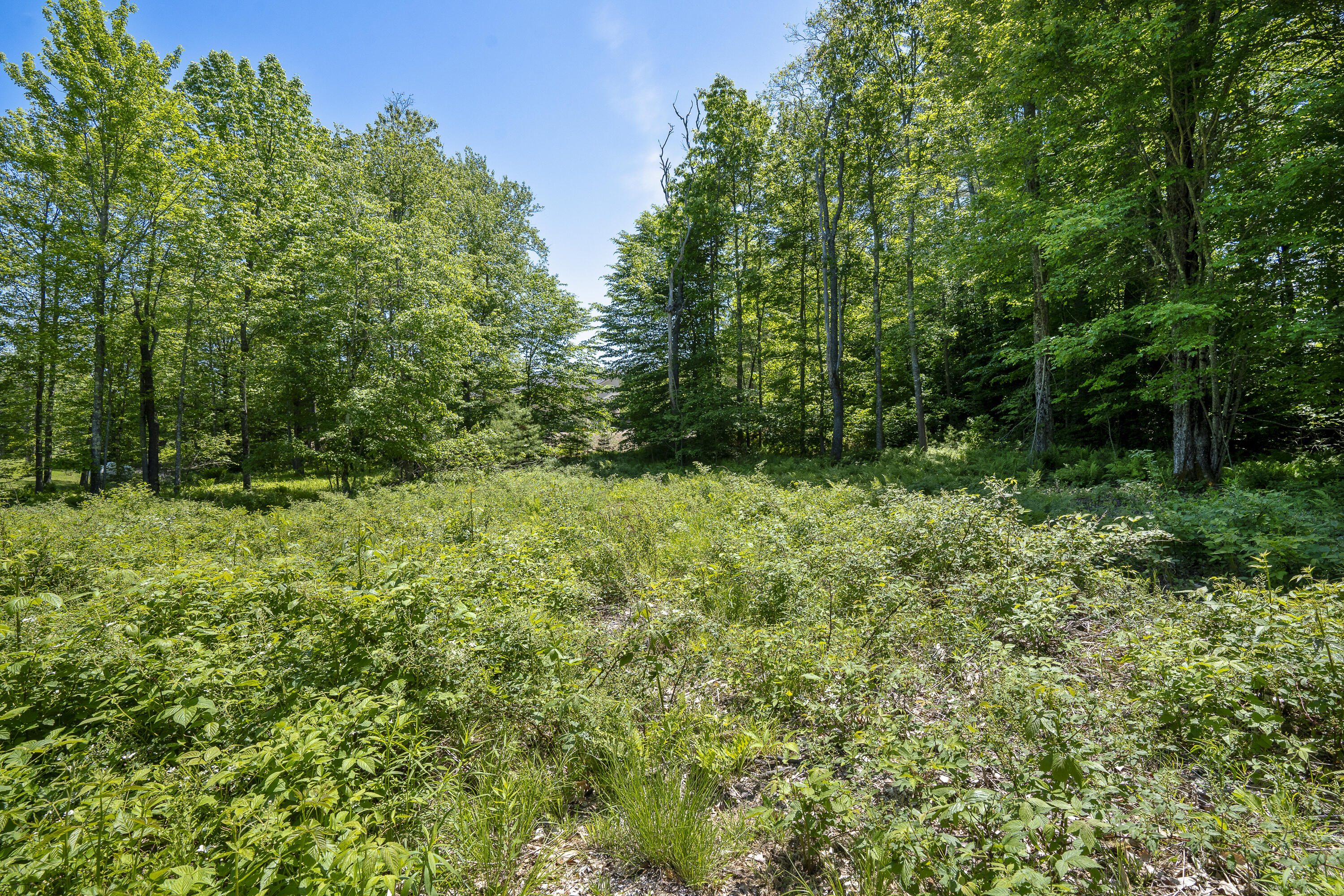 Lot 15 Little Bird Lane