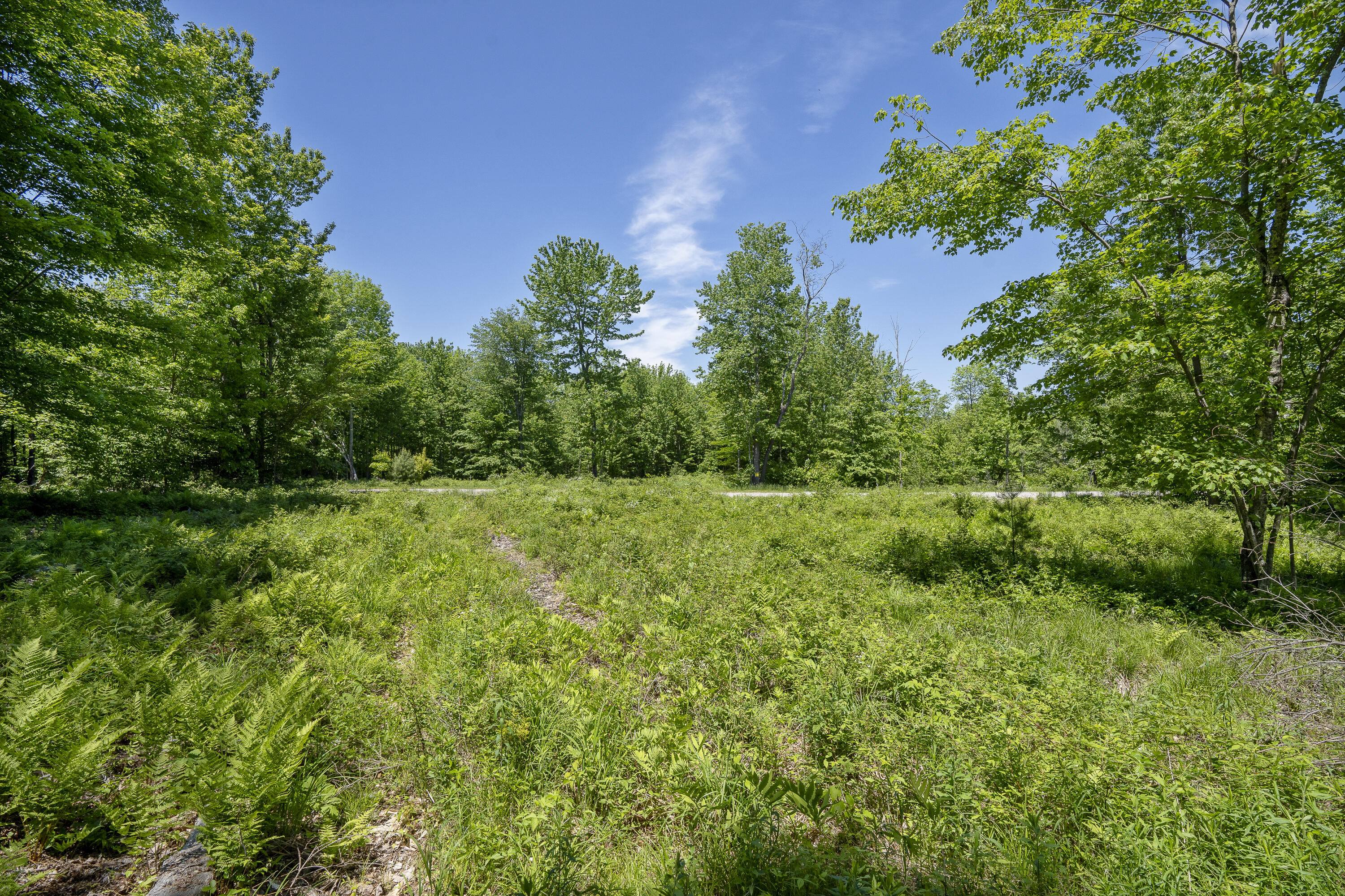 Lot 15 Little Bird Lane