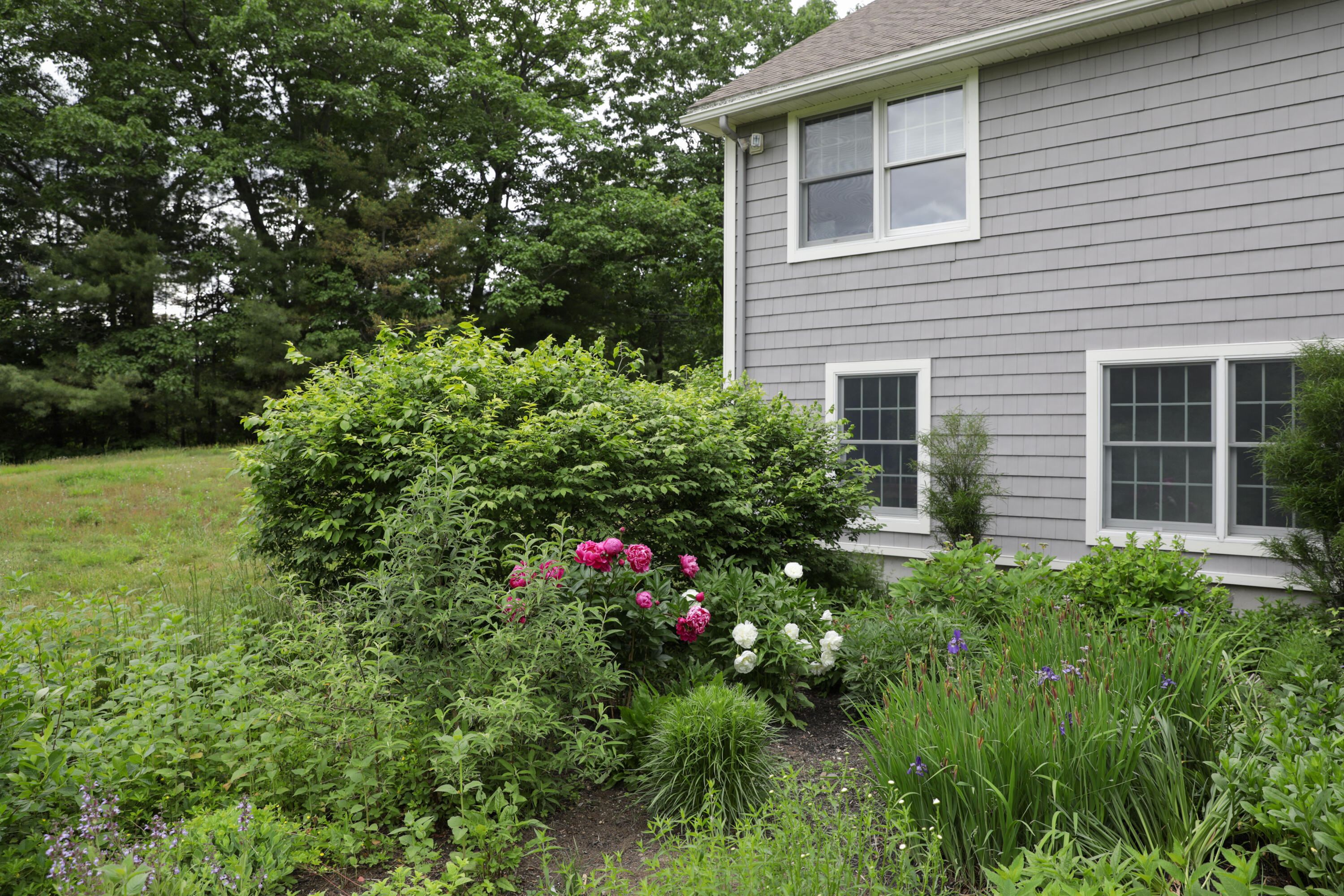 7 Woodville Road