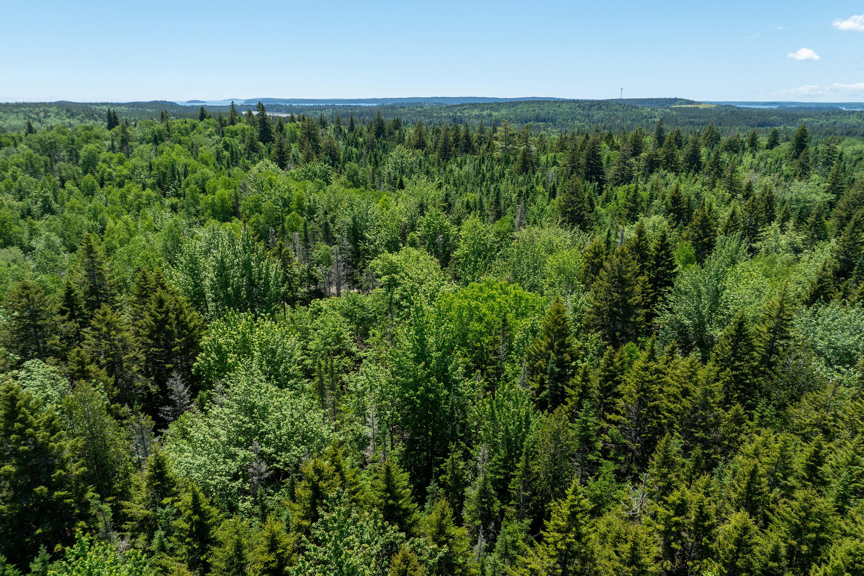 362 Duck Cove Road