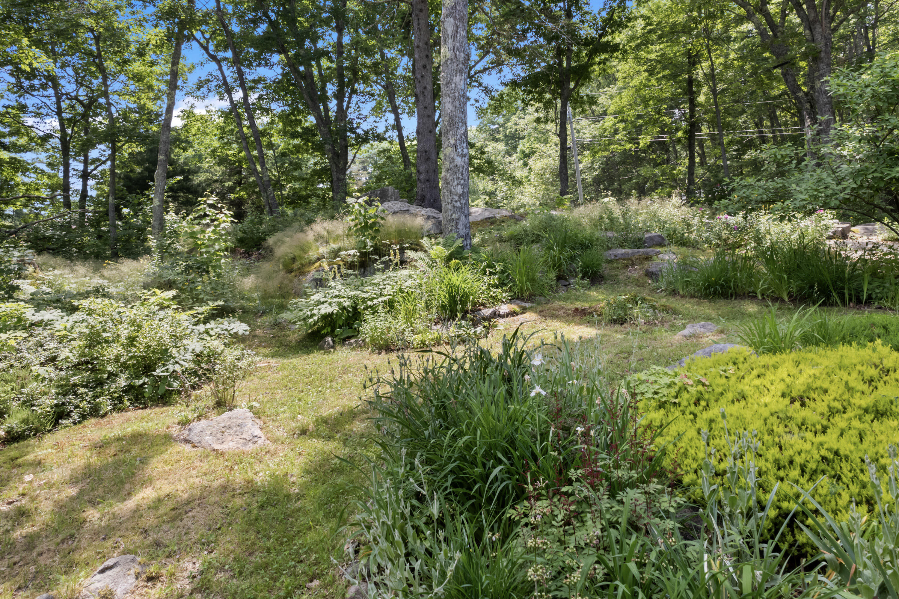 440 Mountain Road