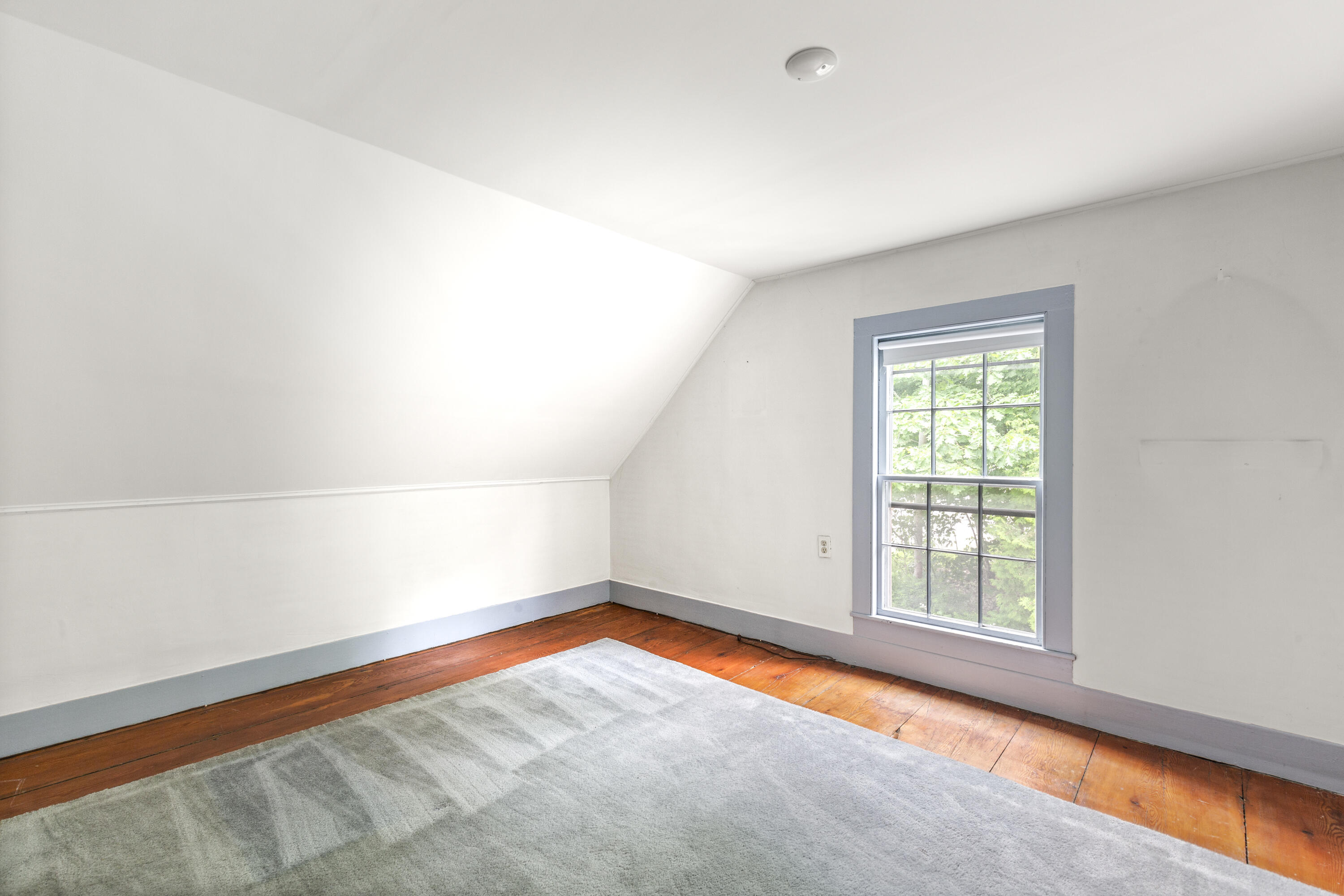 317 Friendship Road