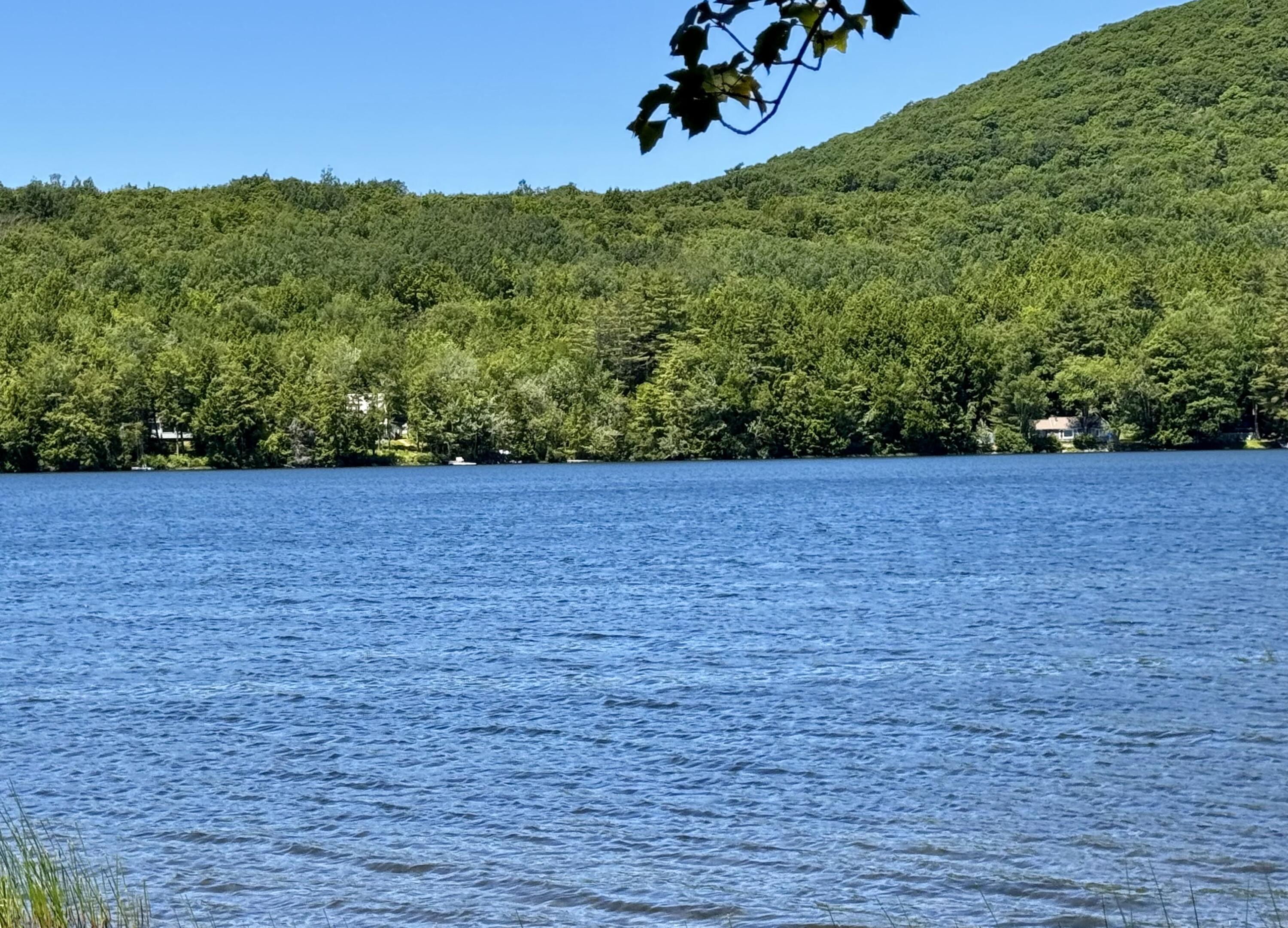 Lot 47 Loon Lane