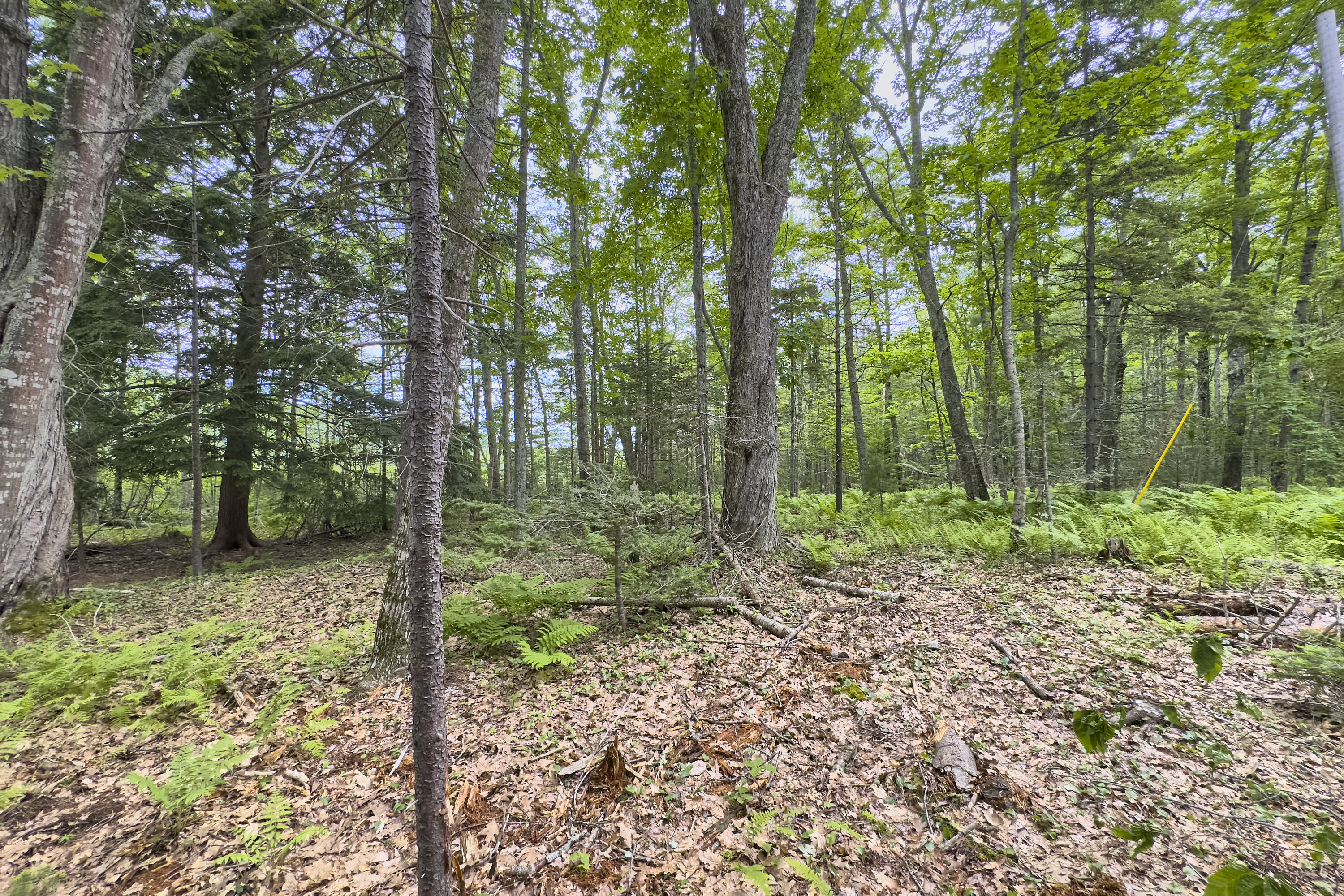 Lot 47 Loon Lane