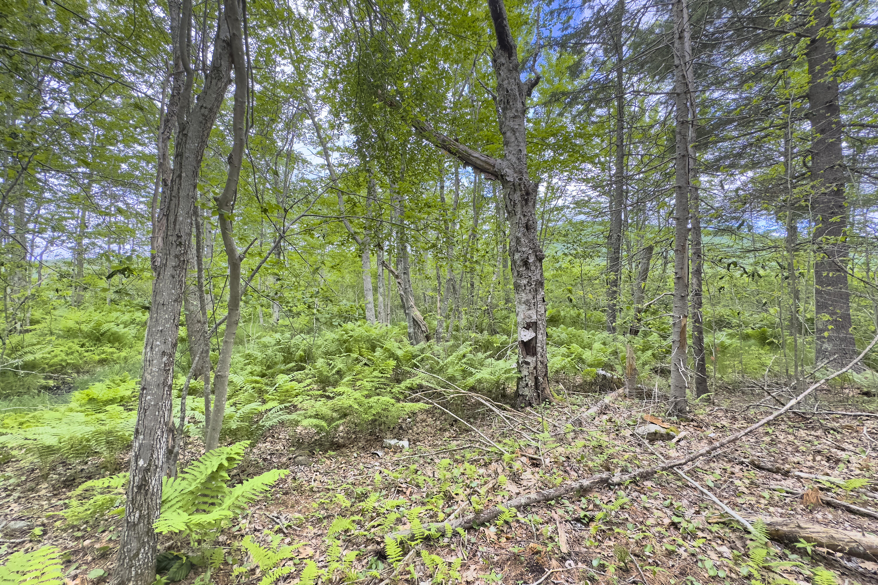 Lot 47 Loon Lane