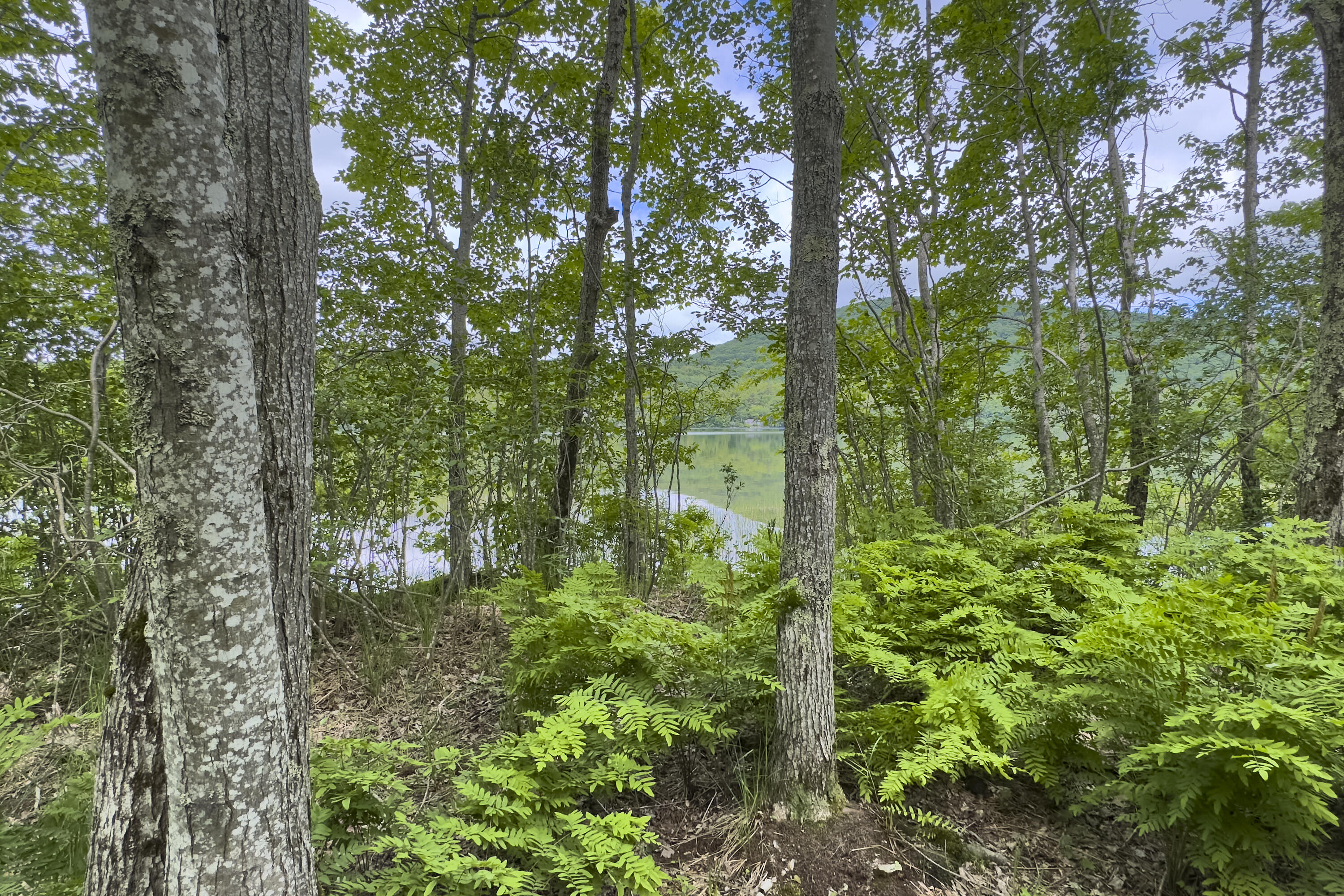 Lot 47 Loon Lane