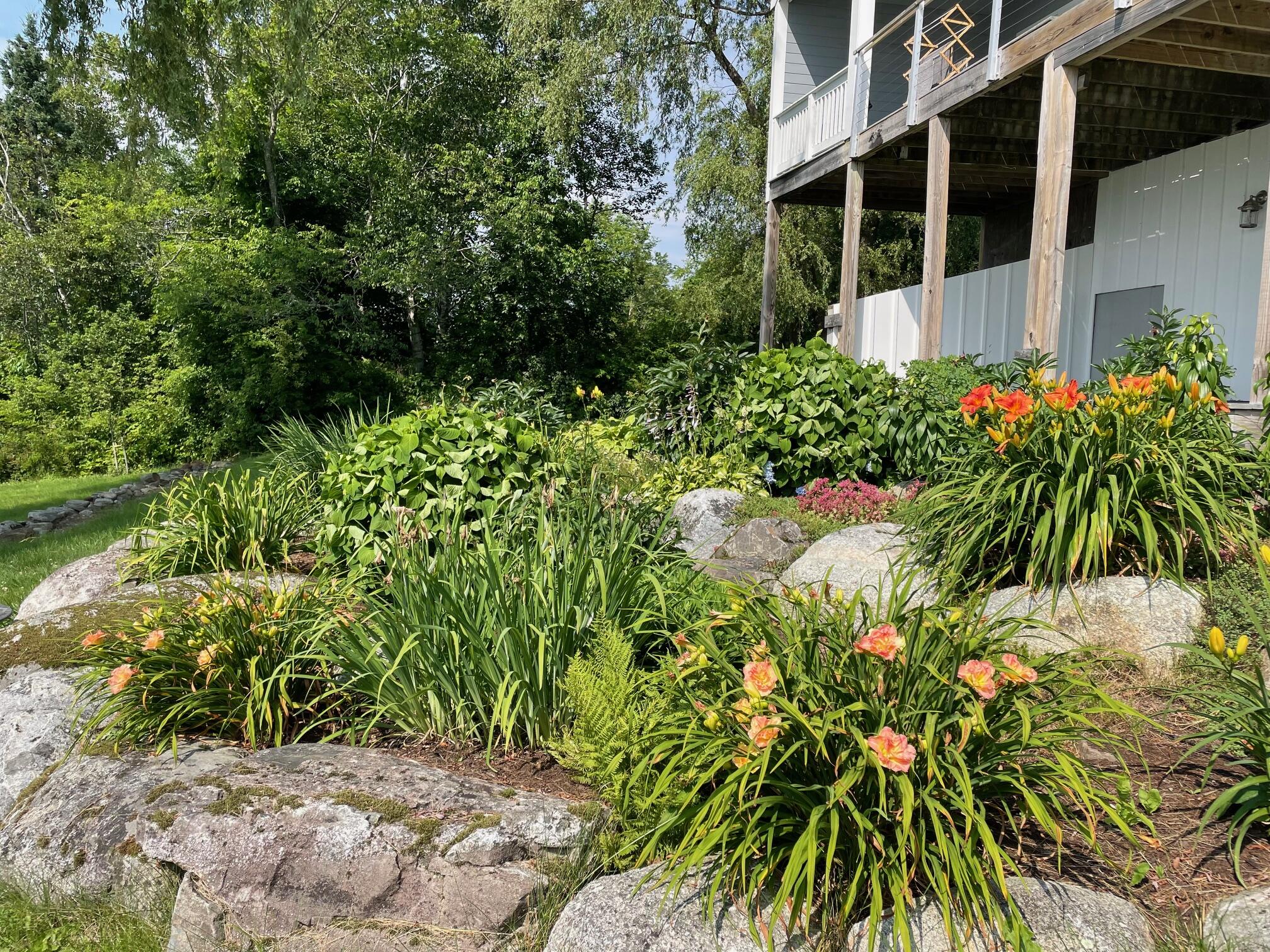 64 Back Shore Road