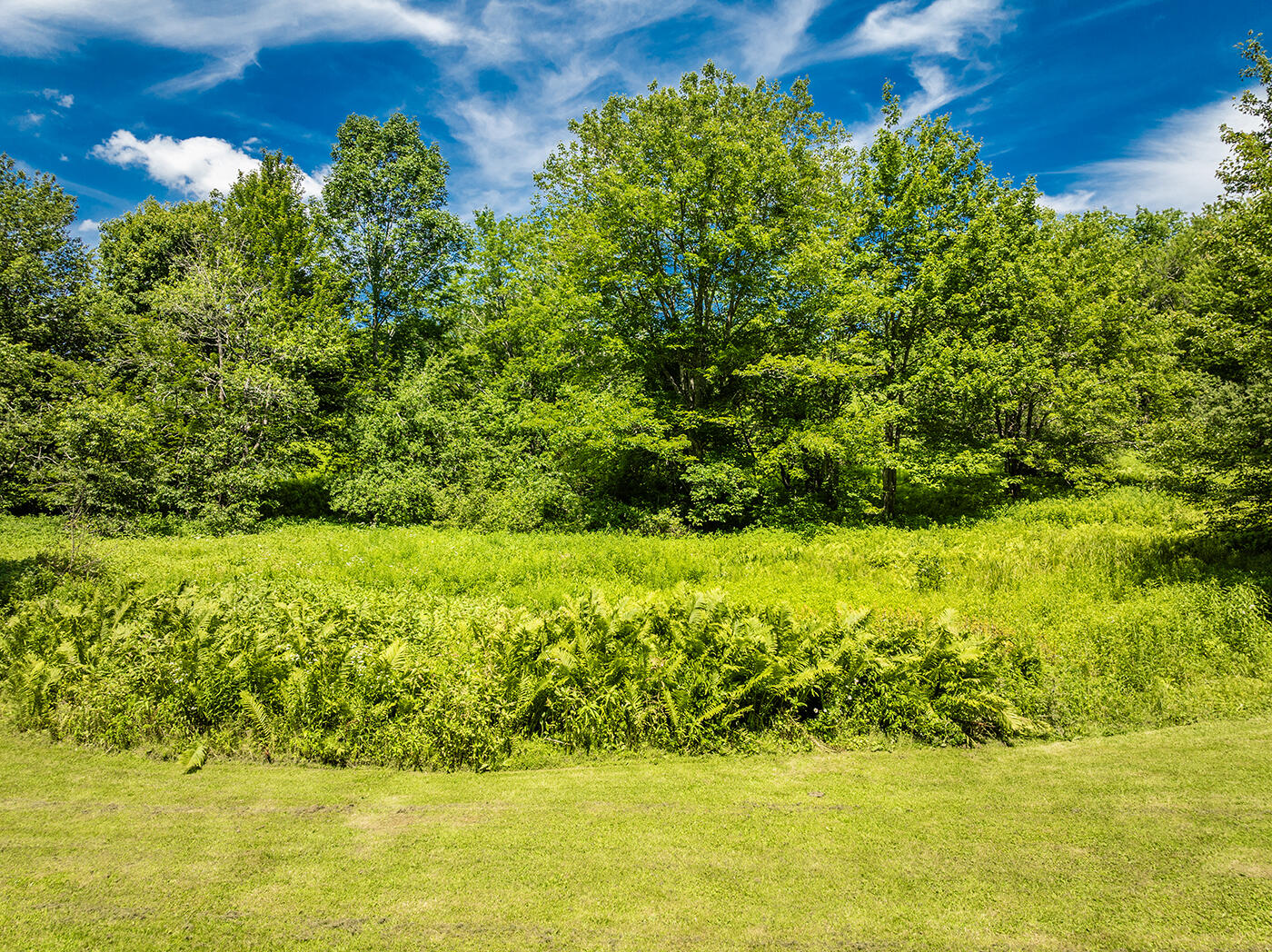 245 Bog Road